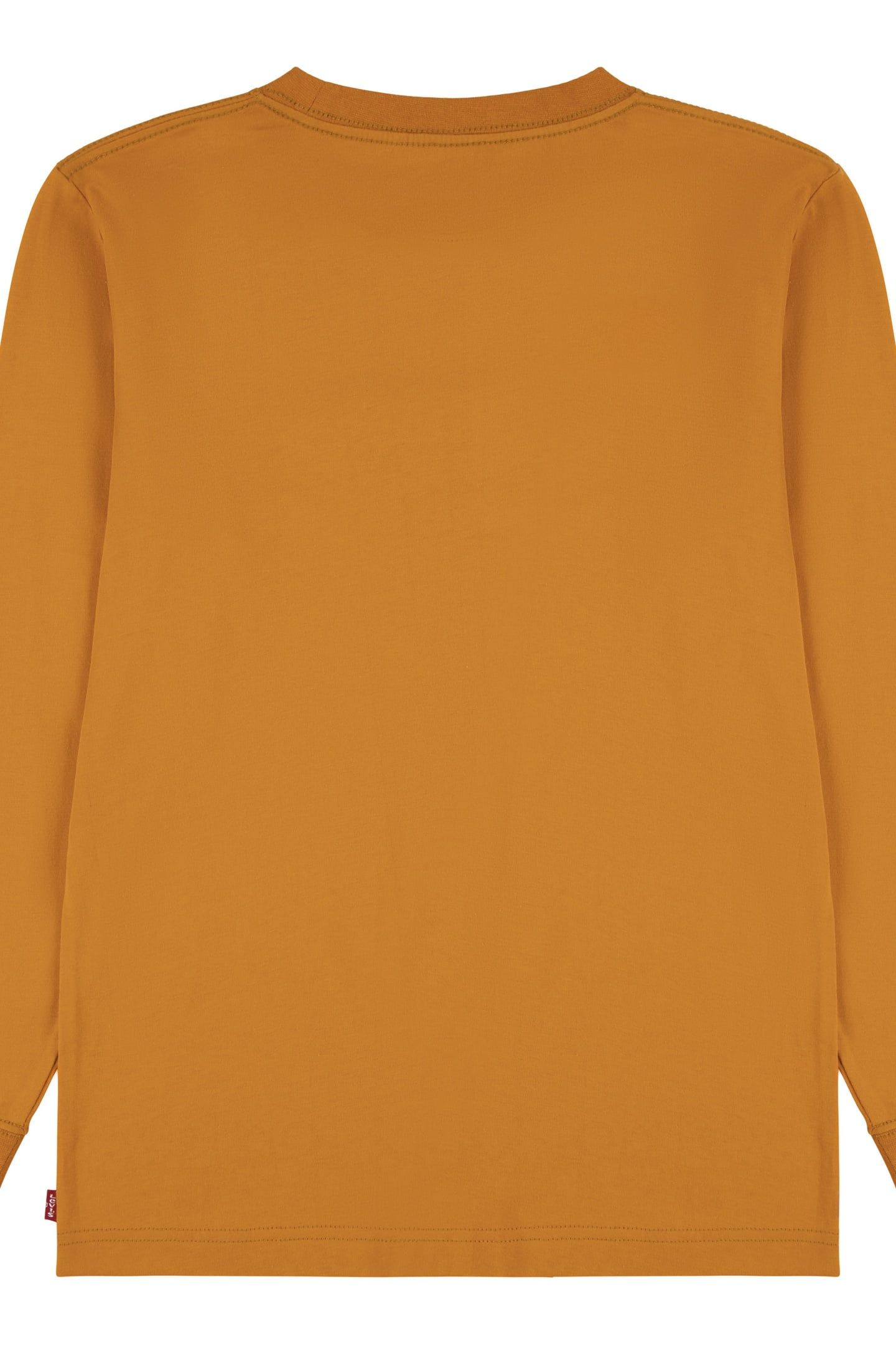 BOYS LS GRAPHIC TEE SHIRT DESERT SUN 2