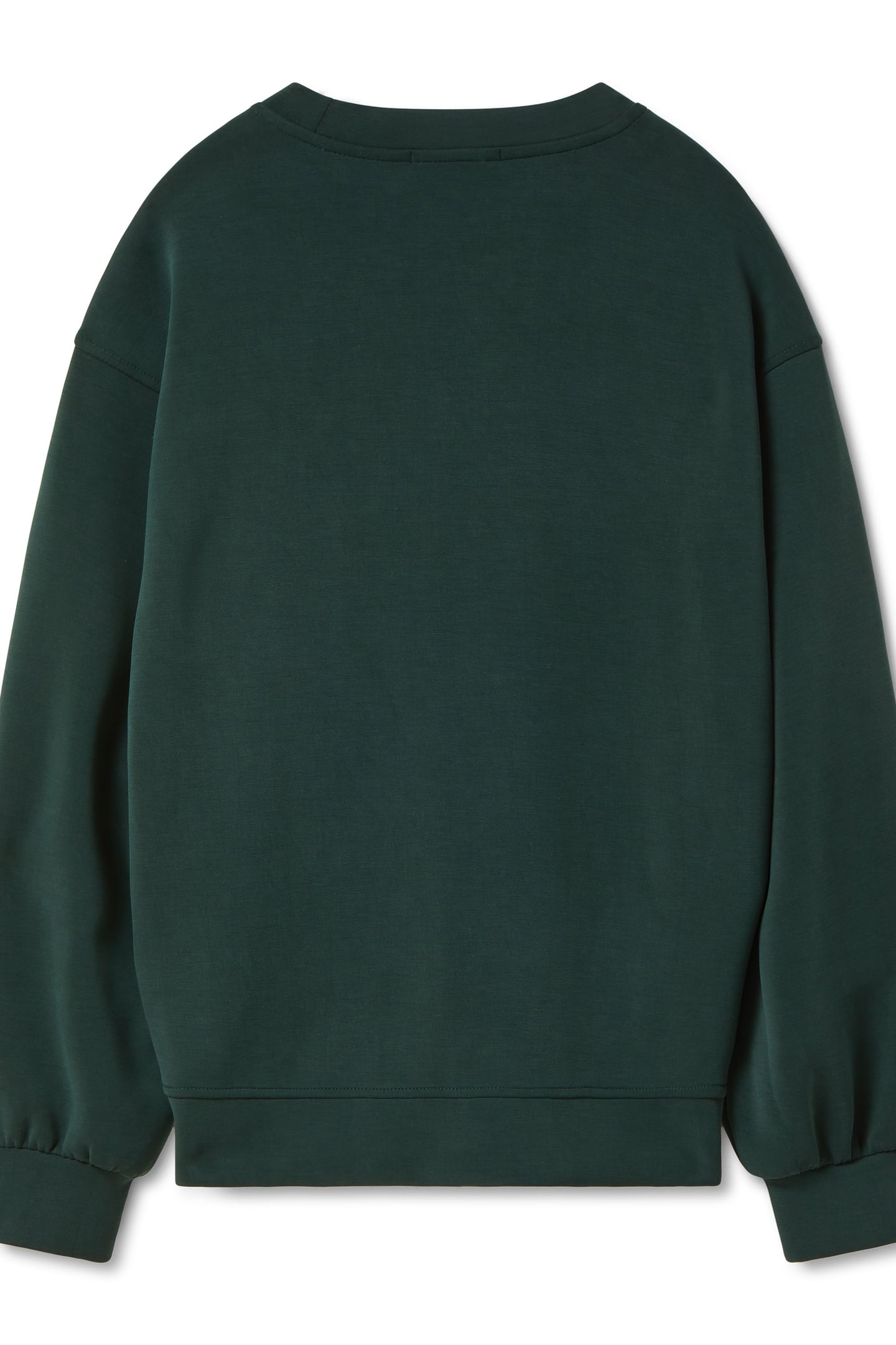 CREW NECK PULLOVER SCARAB 2