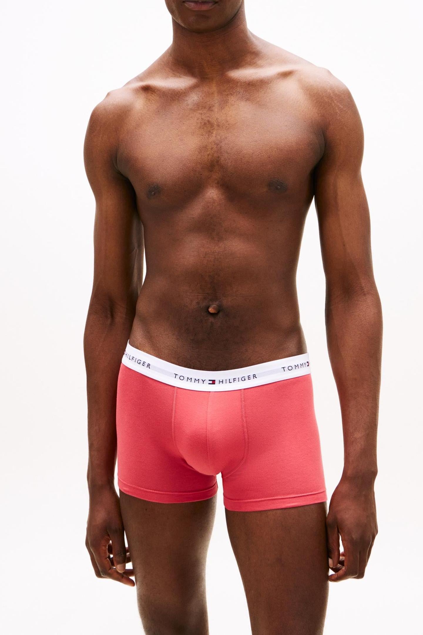3-PACK TRUNK PRINT FROS CRAN/SWT BLU/DNSE FLAG AOP 2
