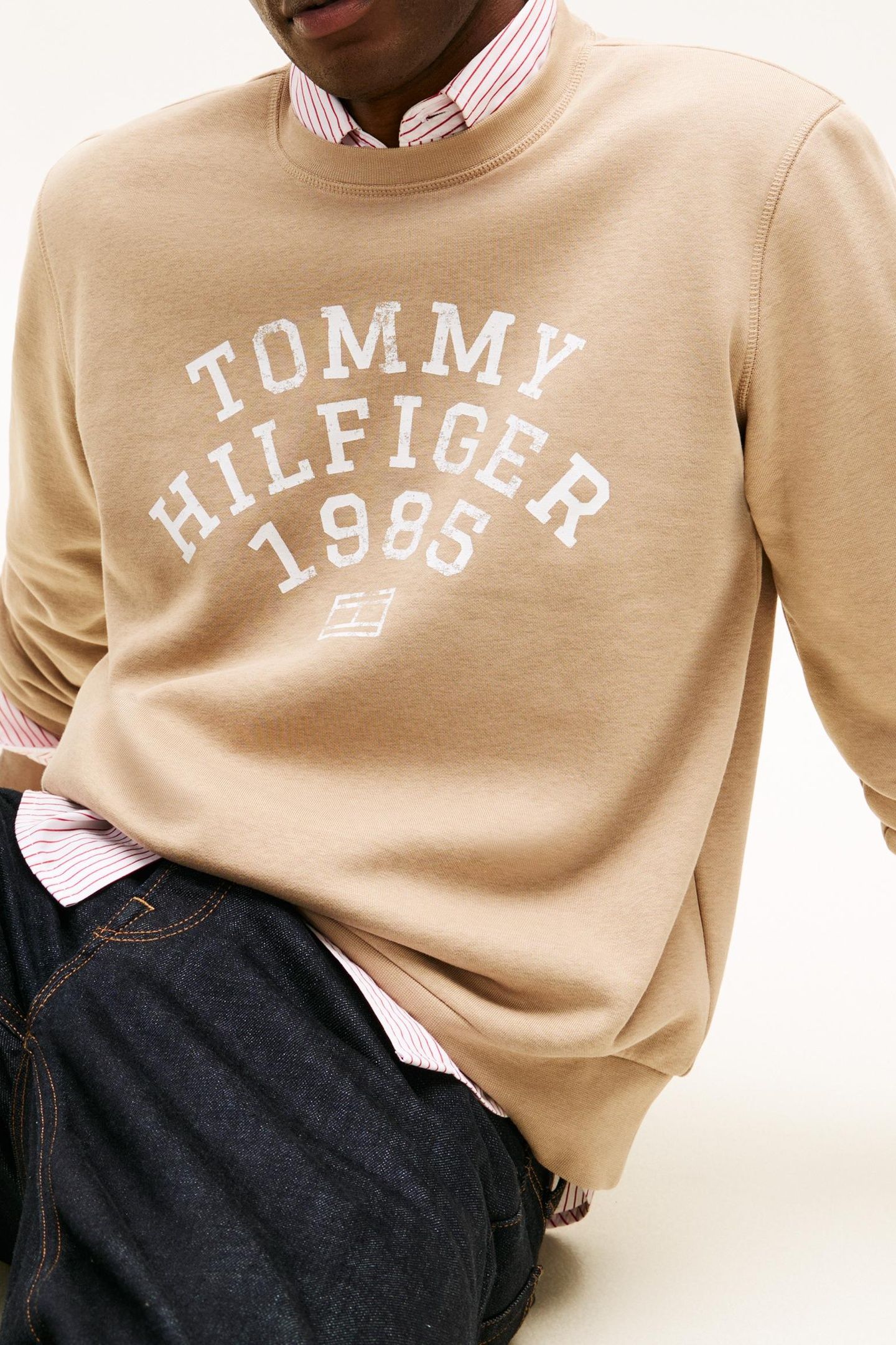 HILFIGER ARCH SWEATSHIRT COASTAL TAUPE 5