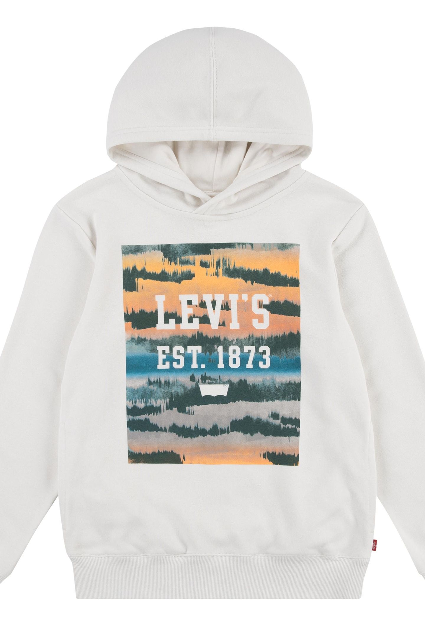BOYS LANDSCAPE BOX HOODIE BIRCH 1
