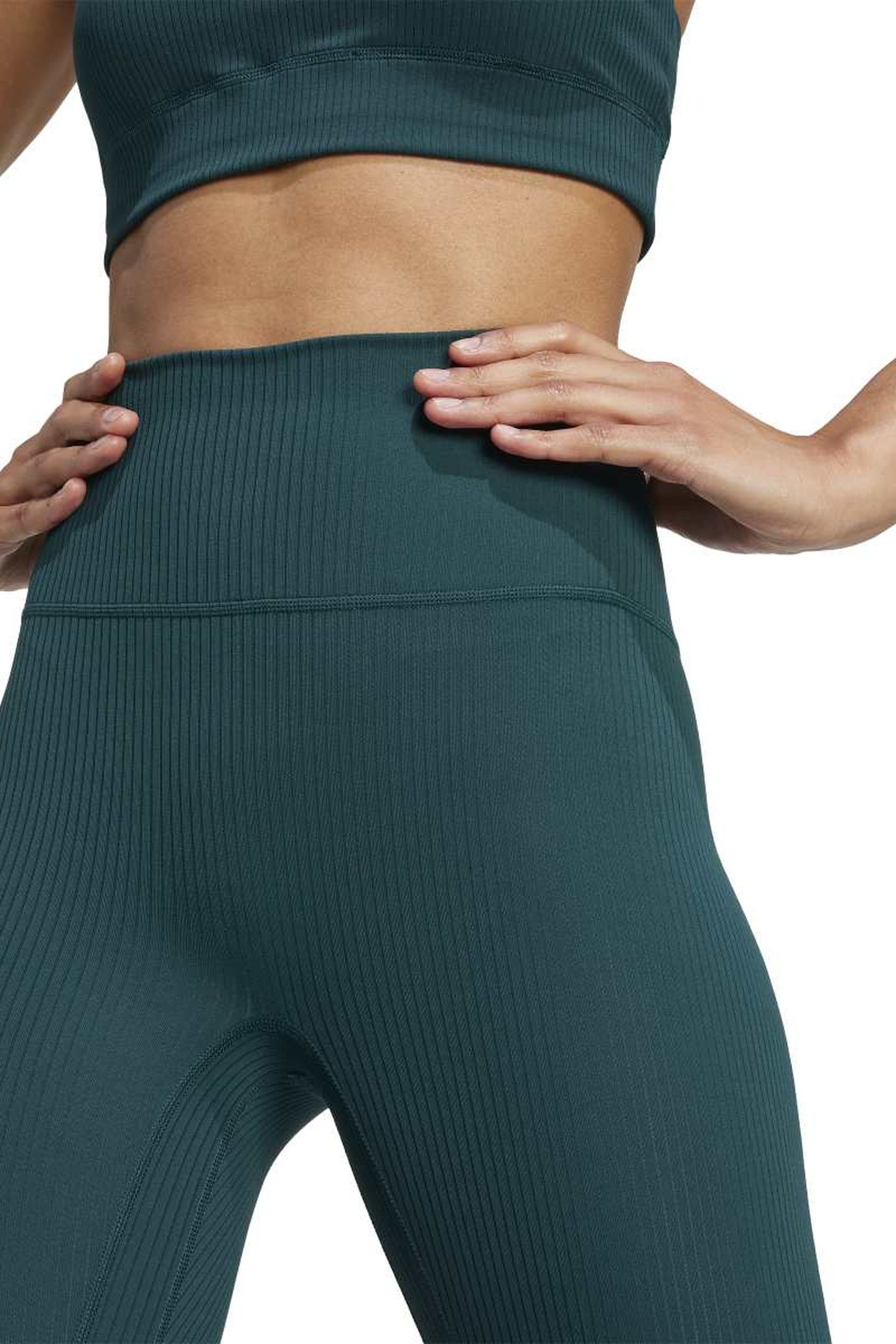 ALL ME RIB LEGGINGS AURORA IVY 6