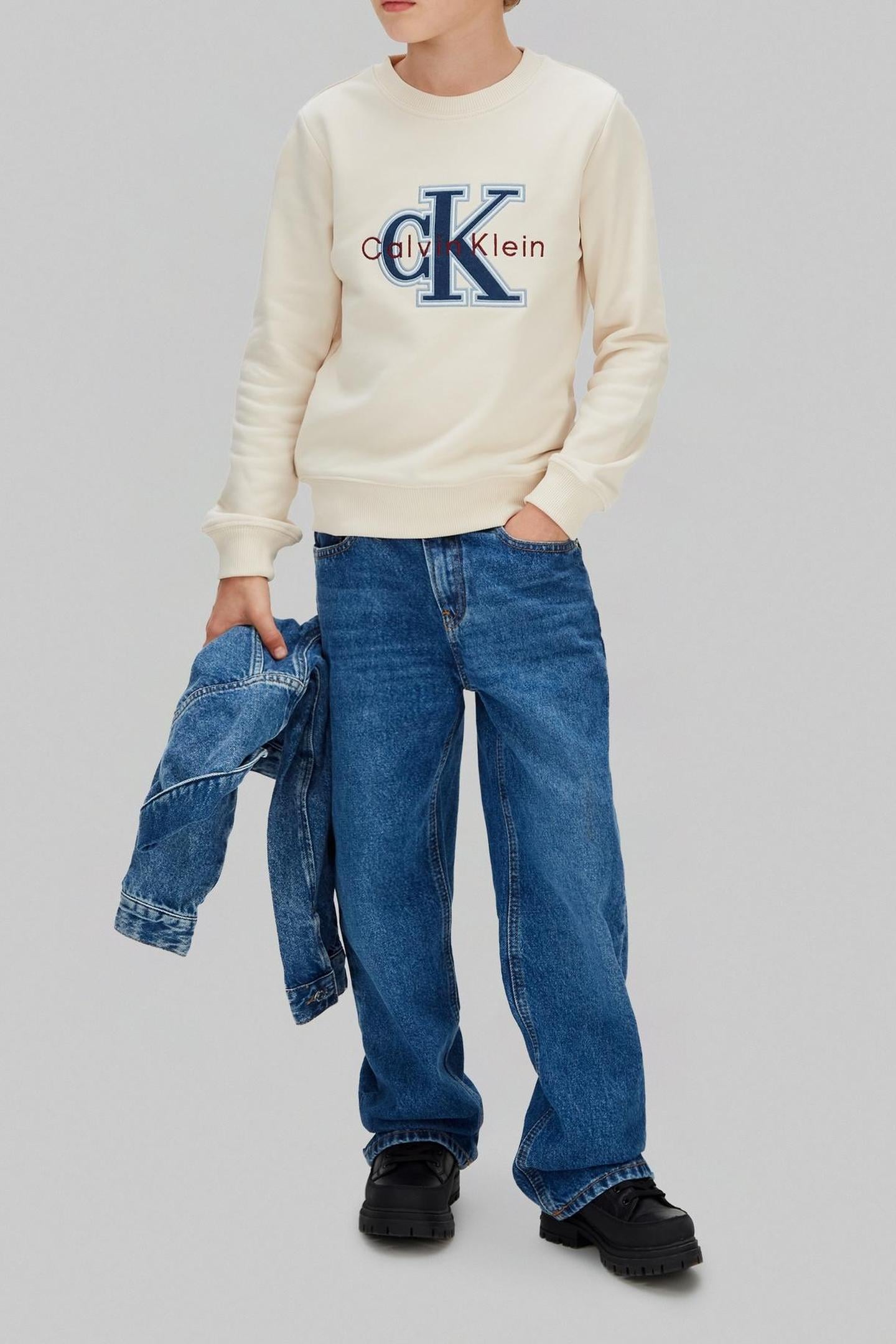 BOYS FESTIVE MONO SWEATSHIRT WHITECAP GRAY 5