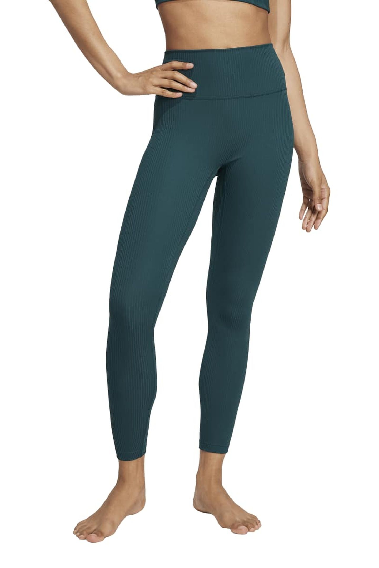 ALL ME RIB LEGGINGS AURORA IVY 2