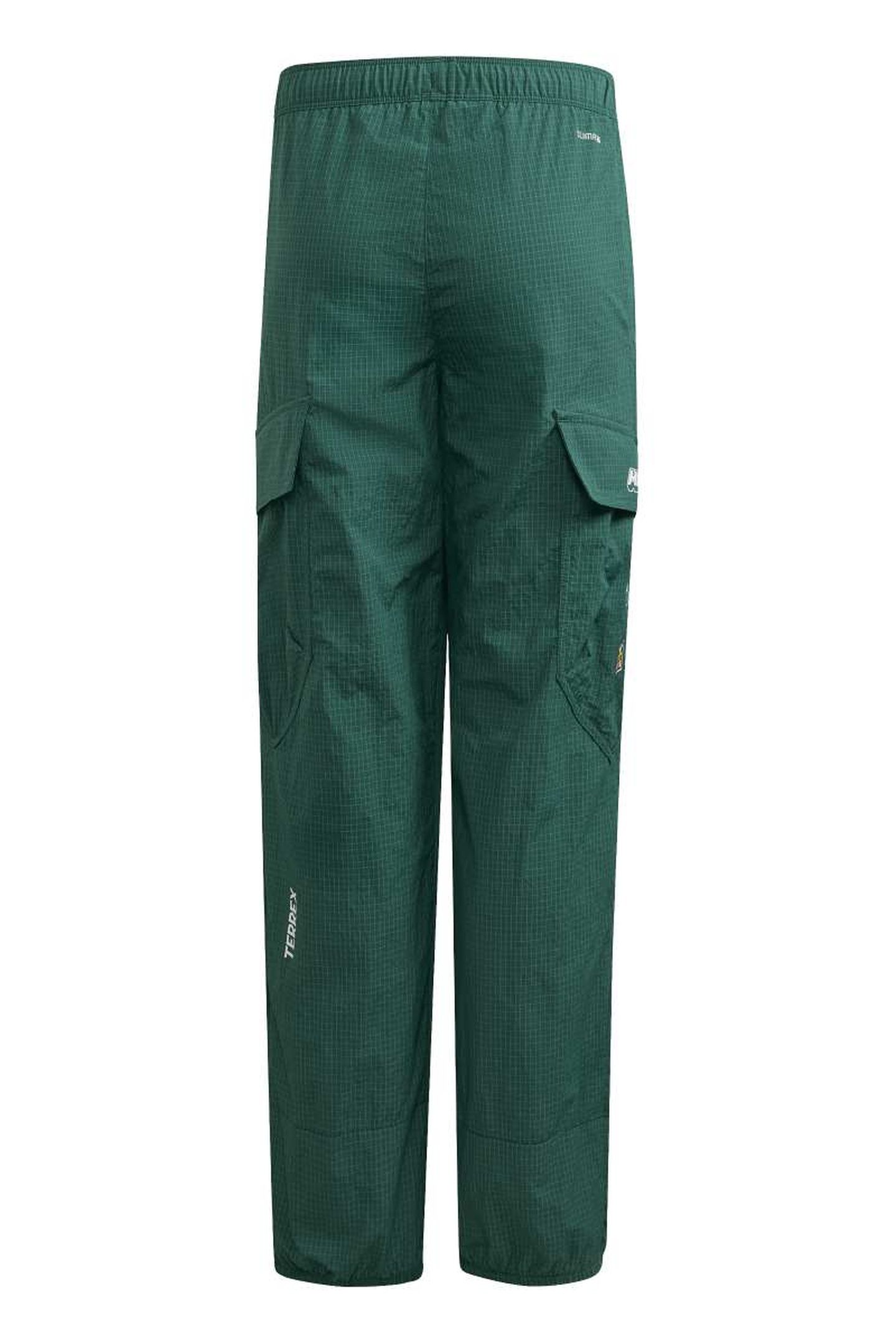 KIDS MINECRAFT TERREX CLIMA365 CARGO PANTS COLLEGIATE GREEN 6