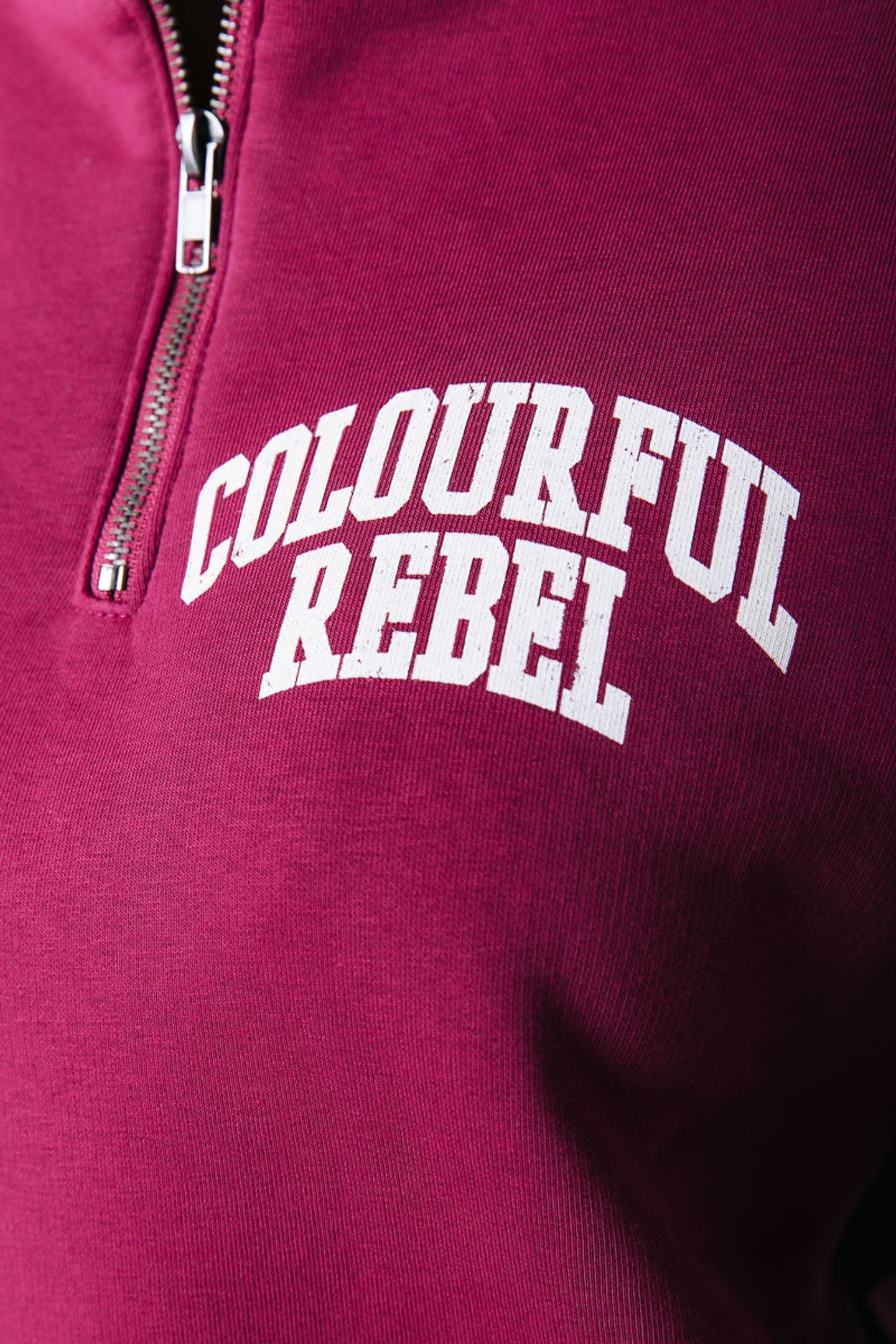 VARSITY LOGO RELAXED ZIP SWEAT BORDEAUX 4