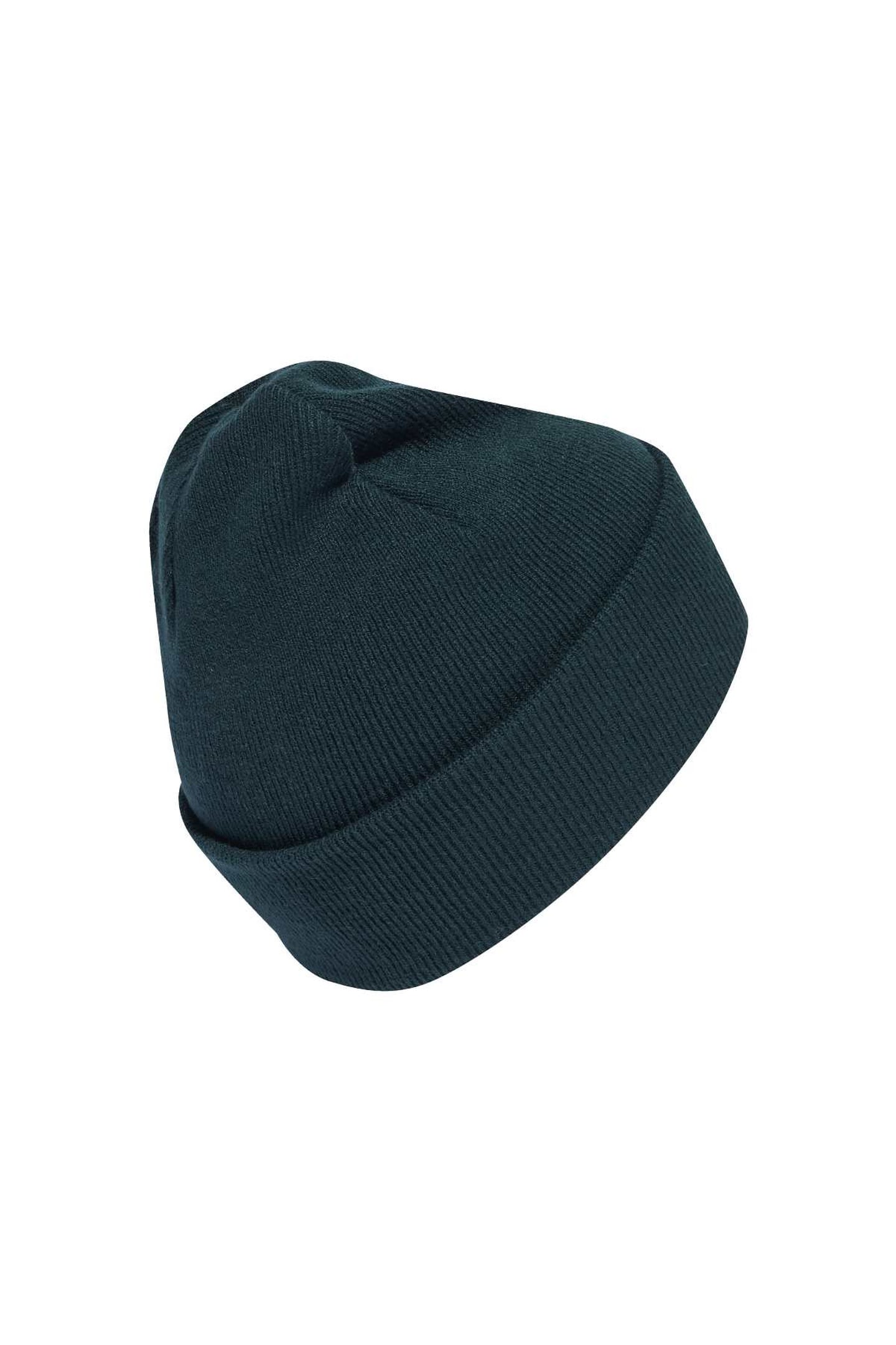 UNISEX ADICOLOR CUFF BEANIE AURORA IVY 2