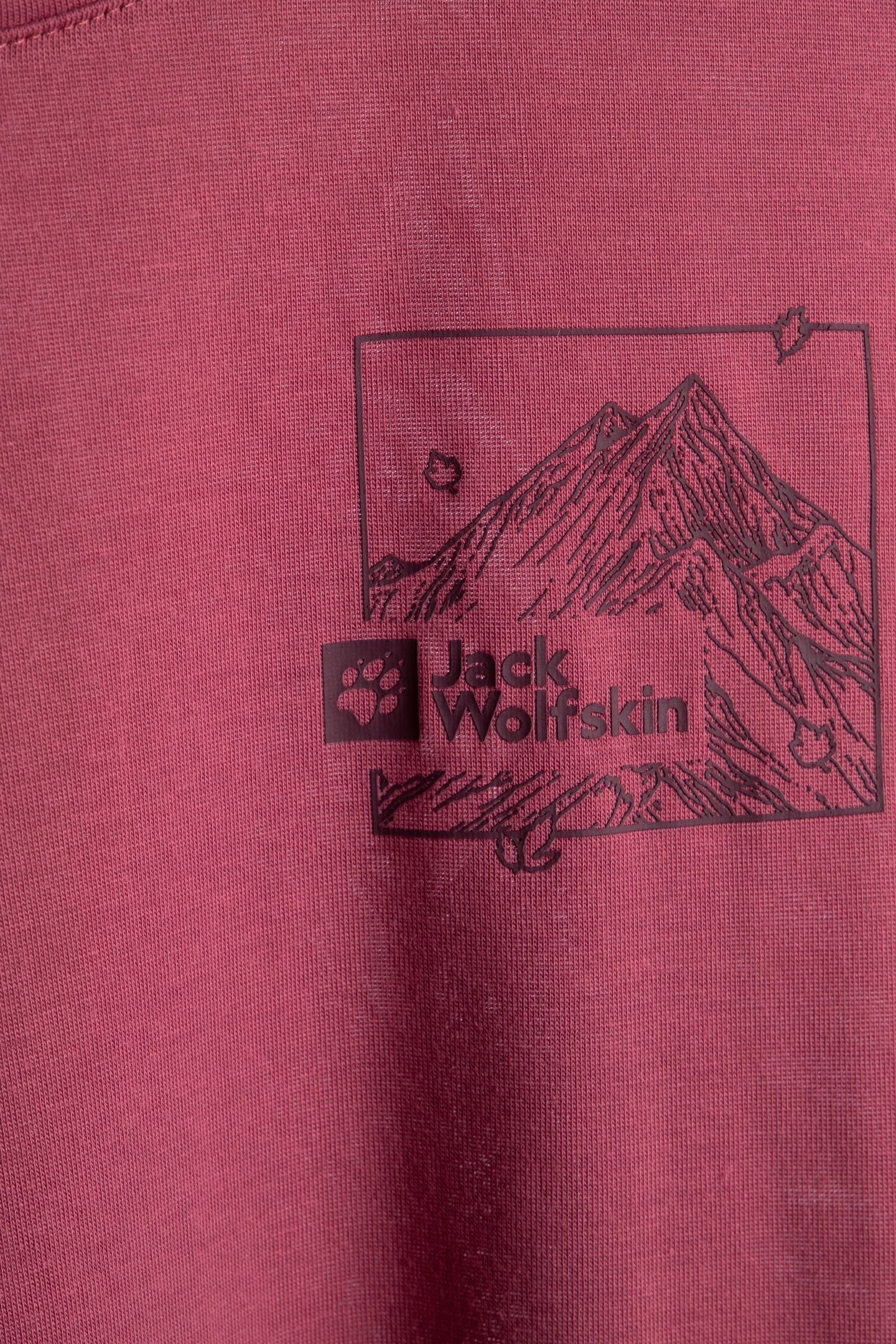 VONNAN GRAPHIC T RIDGE LEAF RAISIN 4