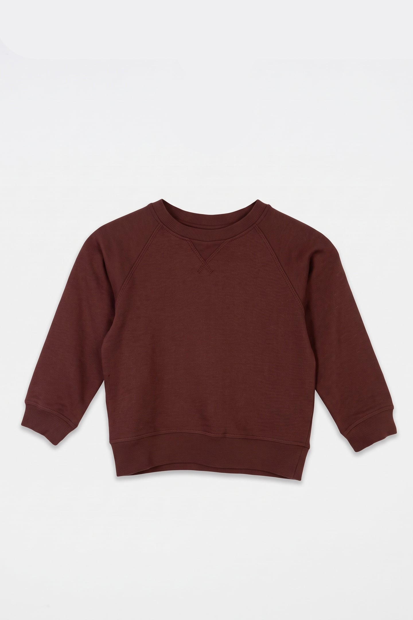 SALOMON SWEATSHIRT UNISEX BROWN 2