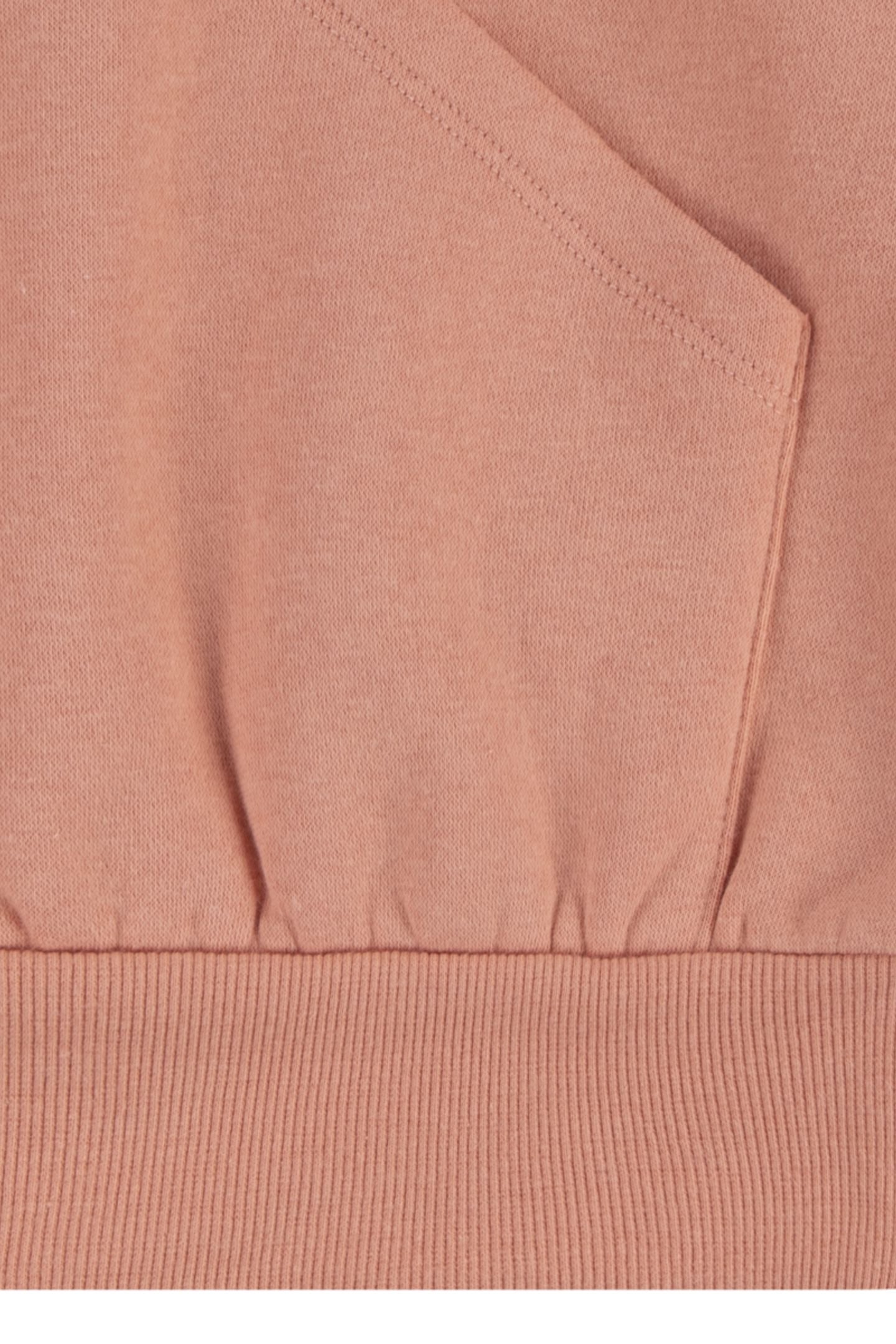 GIRLS POSTER LOGO HOODIE TERRA COTTA 3