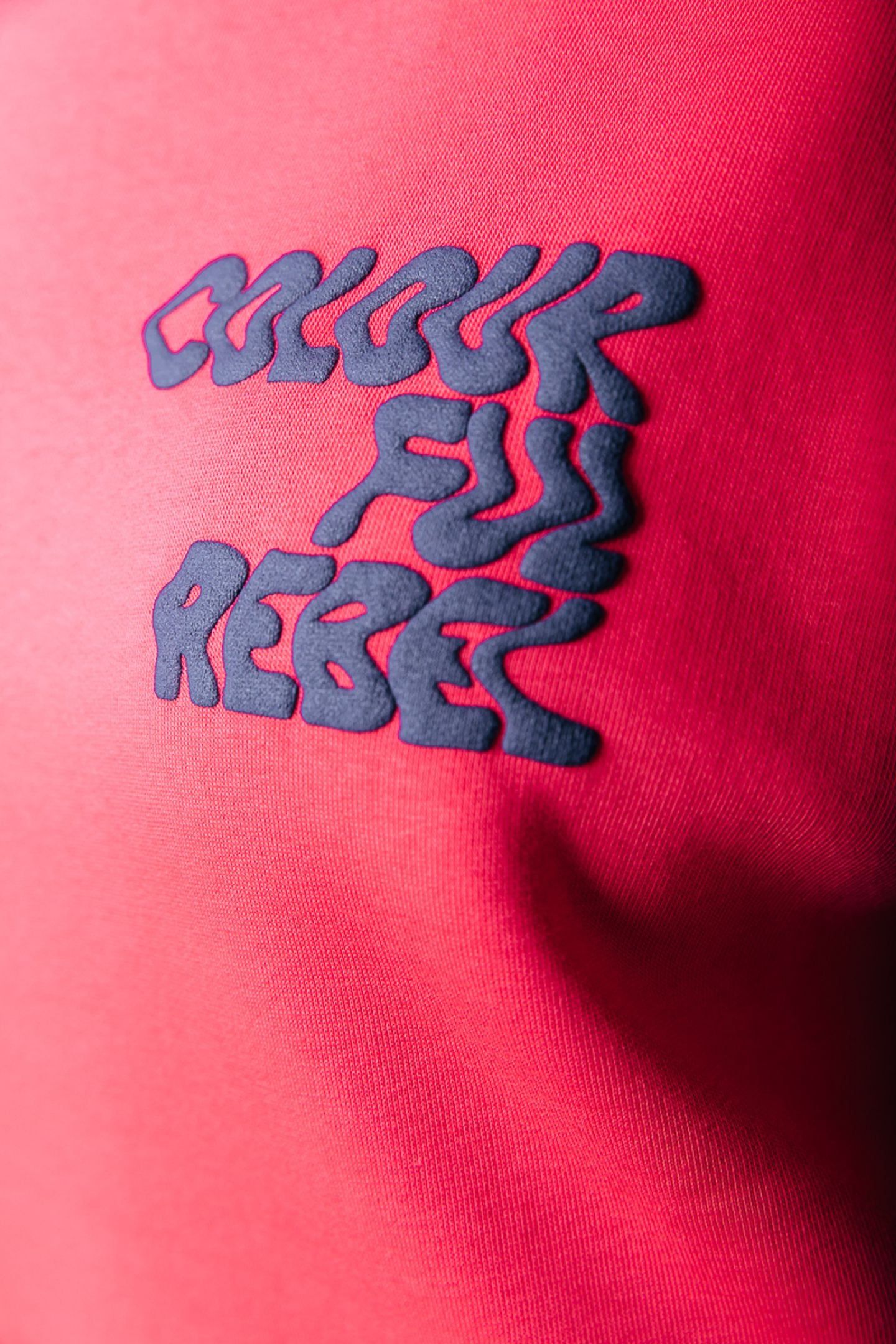 LOGO WAVE RELAXED SWEAT RED 3