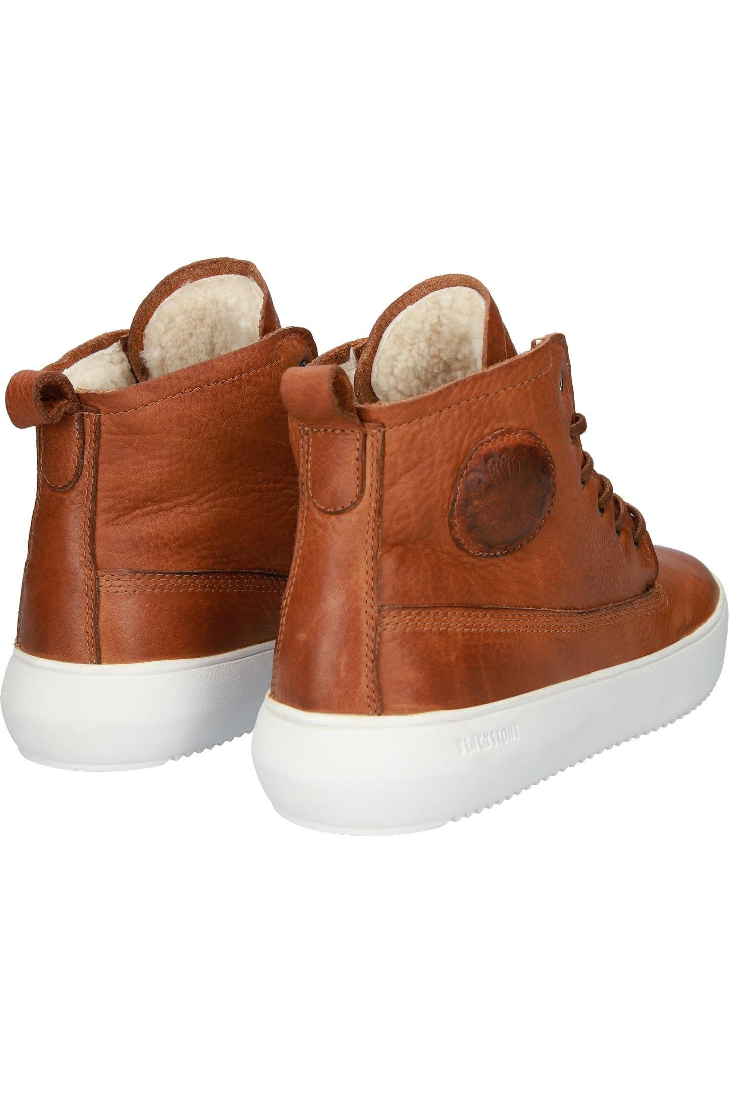 ASPEN 10