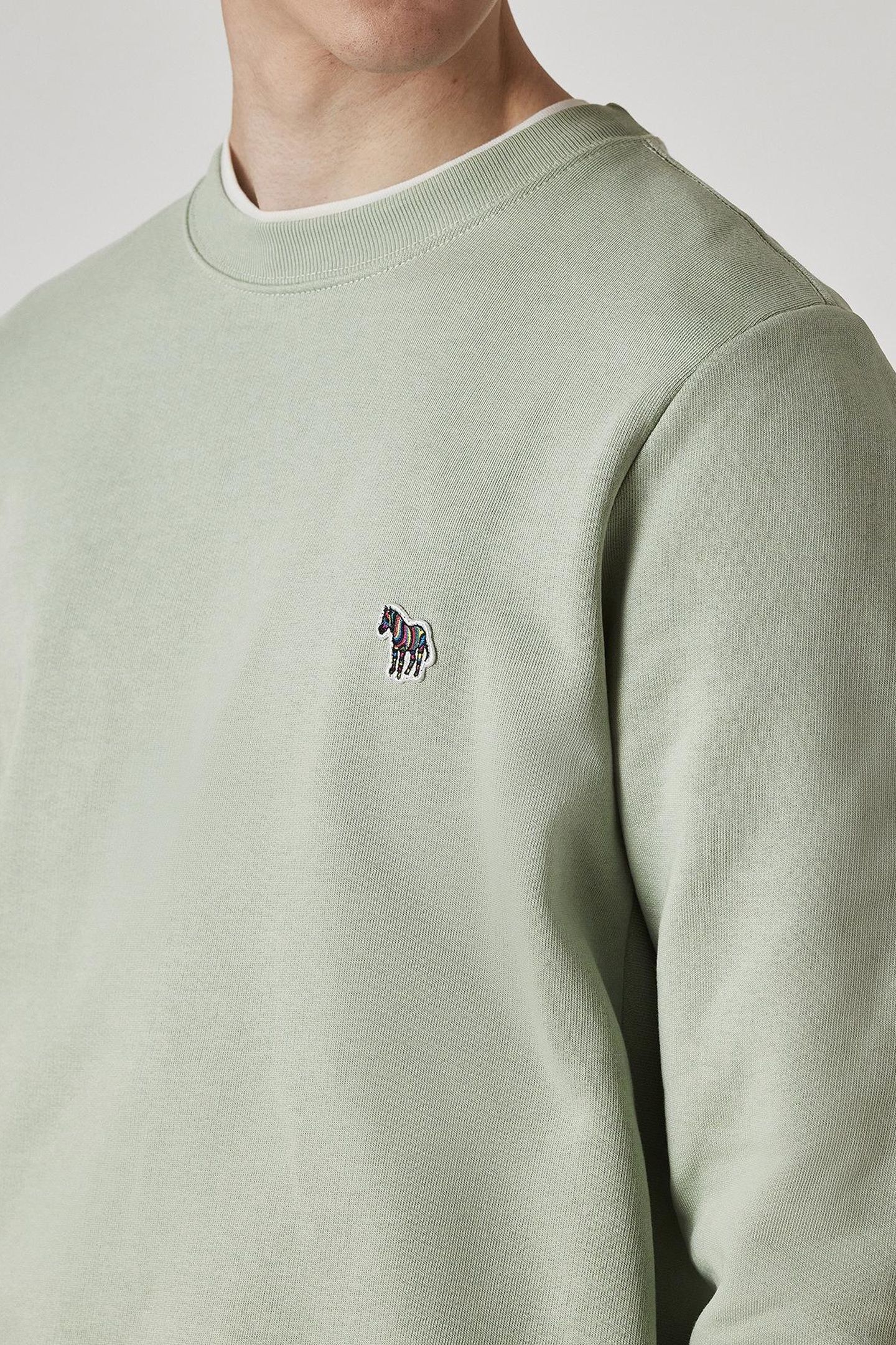 MENS REG FIT SWEATSHIRT ZEBRA PASTEL GREEN 6