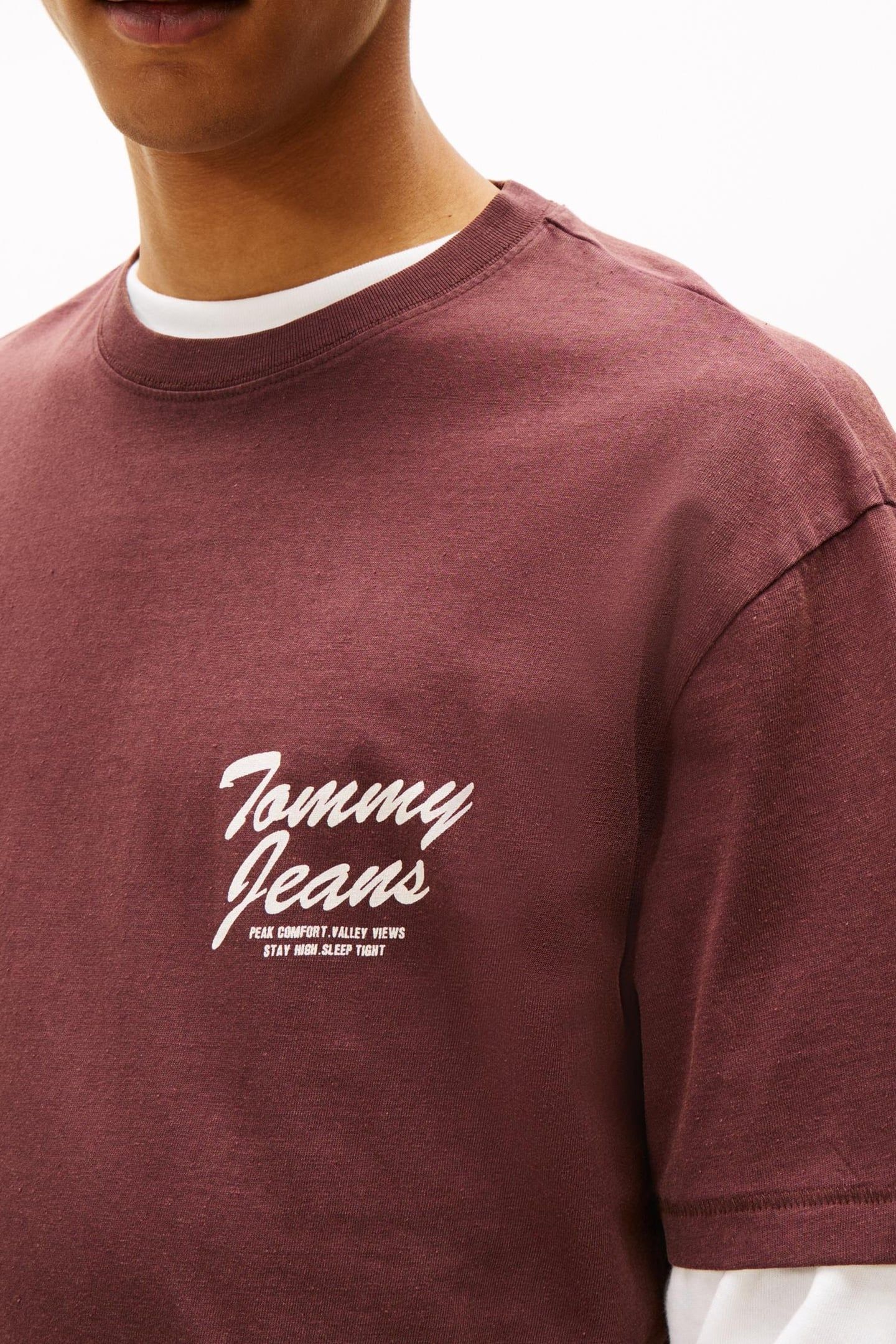 TJM RELAXED NOVELTY TEE RICH BROWN 5