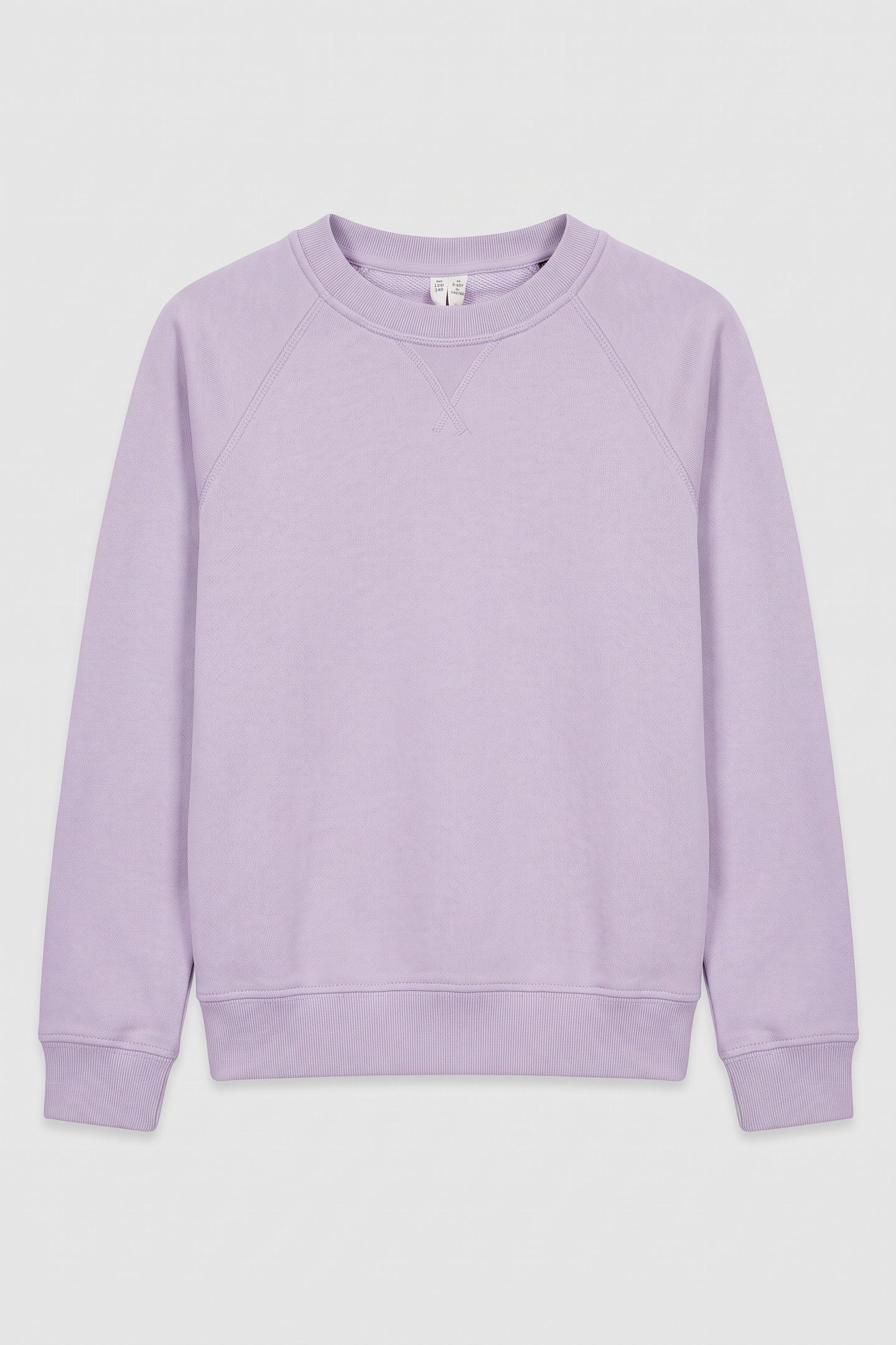 SALOMON SWEATSHIRT UNISEX PURPLE 2