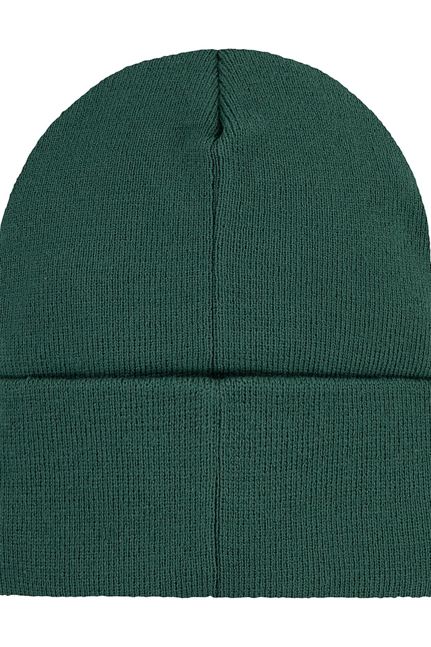 UNISEX LAN LEVI'S CORE BATWING BEANIE BISTRO GREEN 2