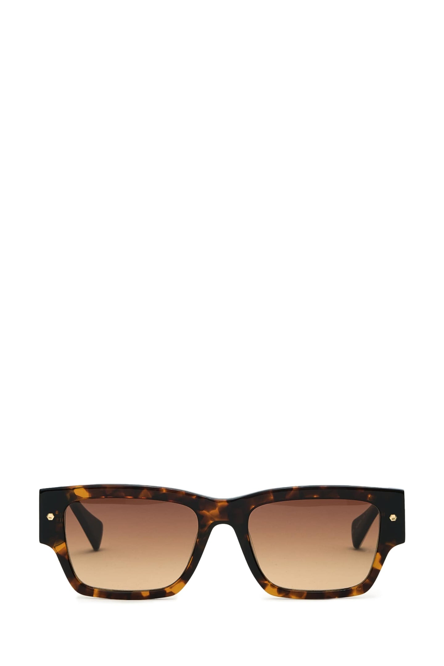IGGY SUNGLASSES DARK TORT 1