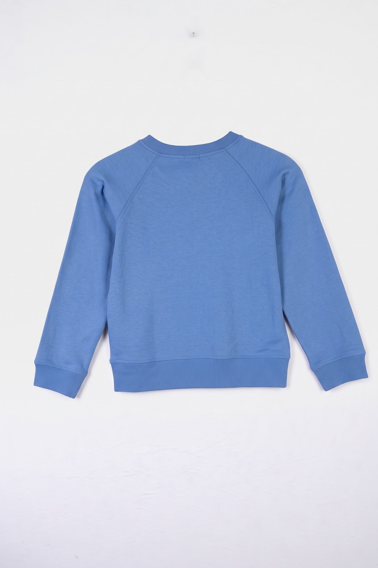 SALOMON SWEATSHIRT BLUE 3