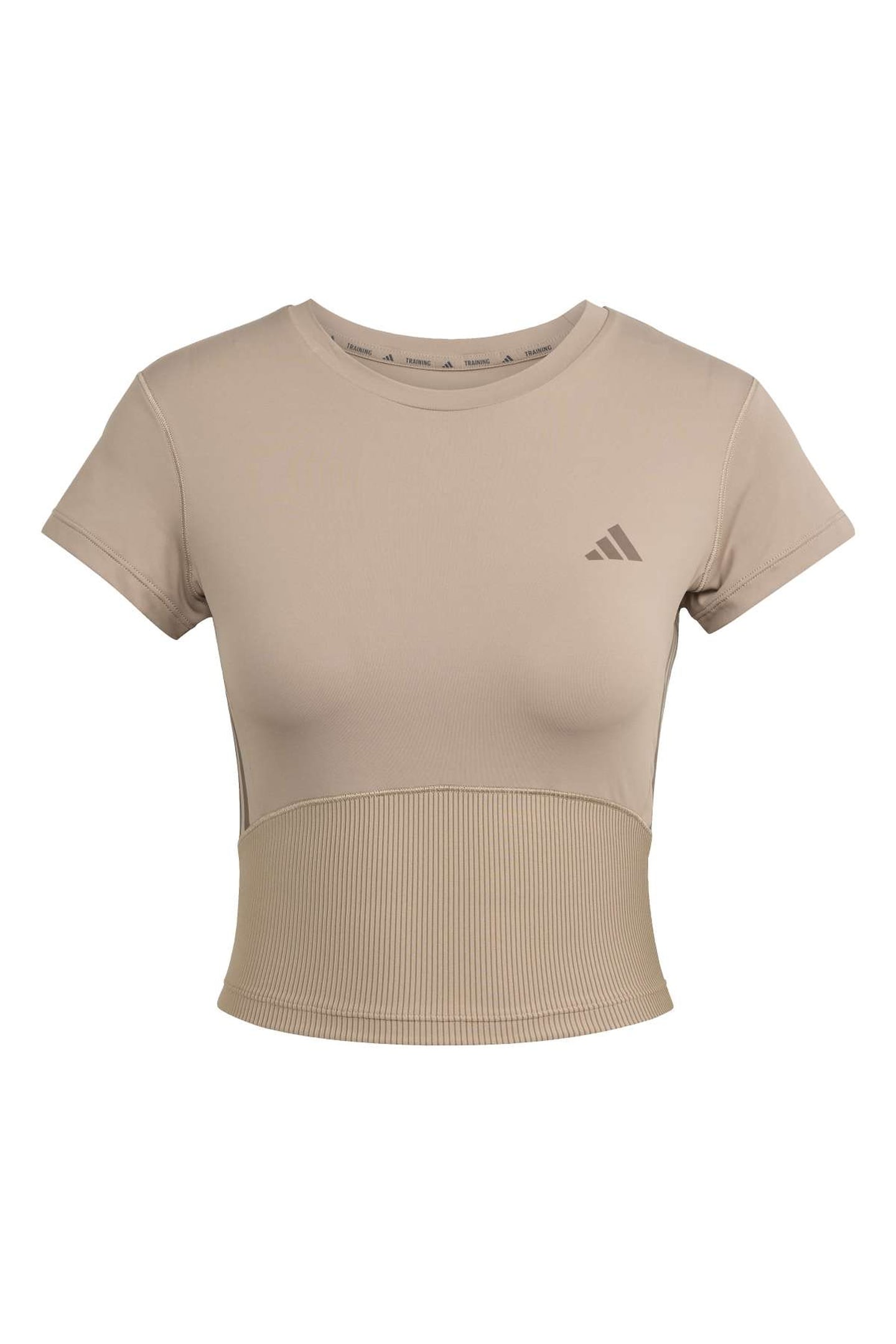 HYG RIB BABY TEE CHALKY BROWN 4