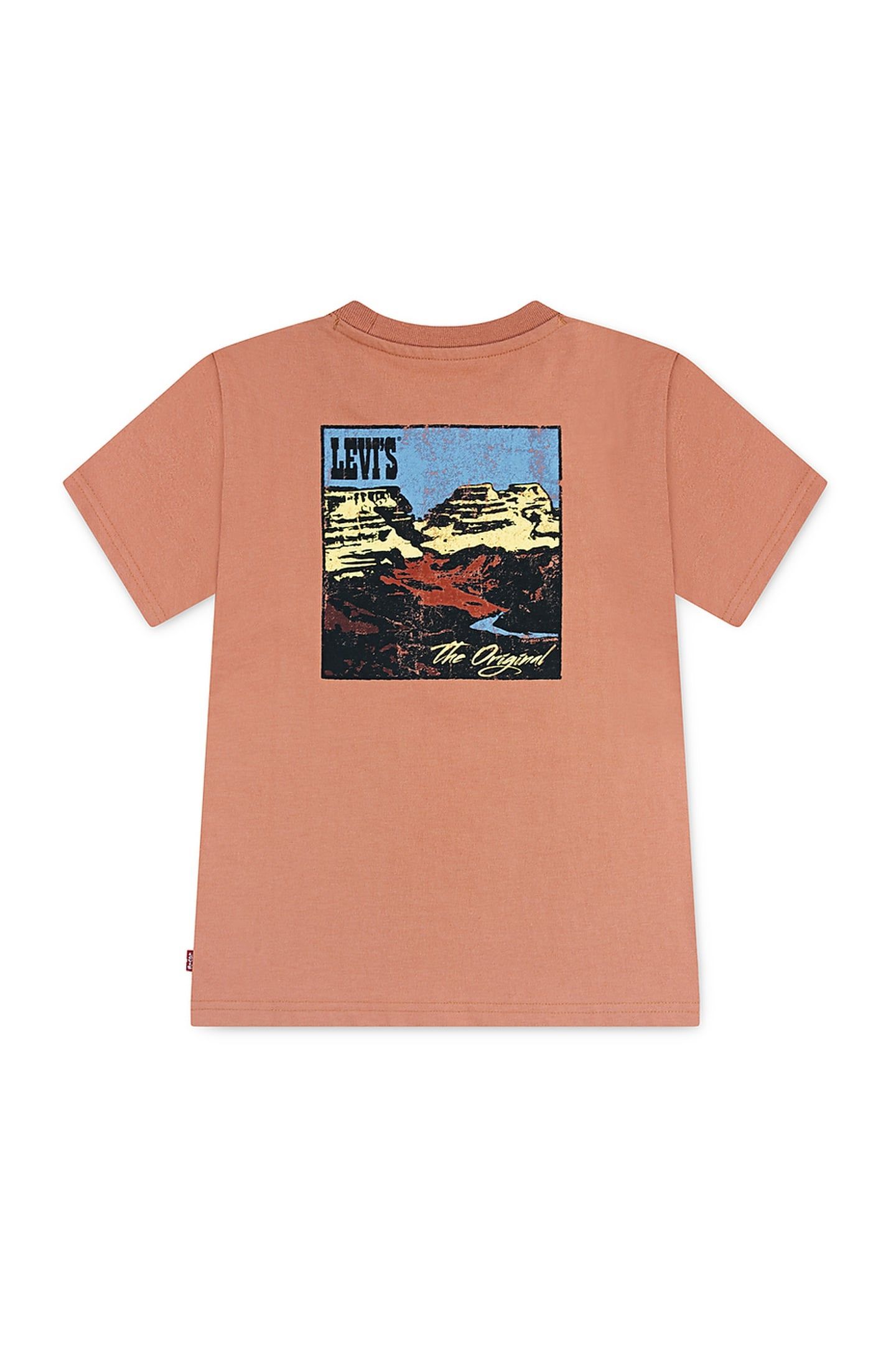 BOYS CANYON LANDSCAPE TEE TAWNY ORANGE 2
