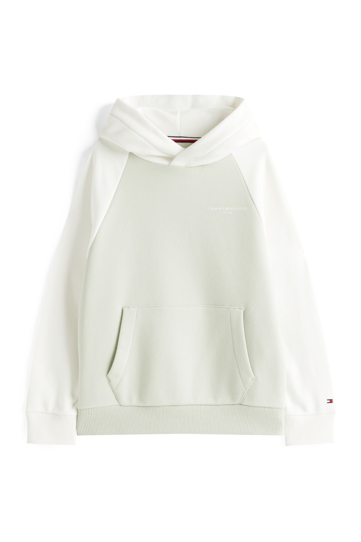 UNISEX MINI CORP LOGO HOODIE MISTY SAGE COLOURBLOCK 2