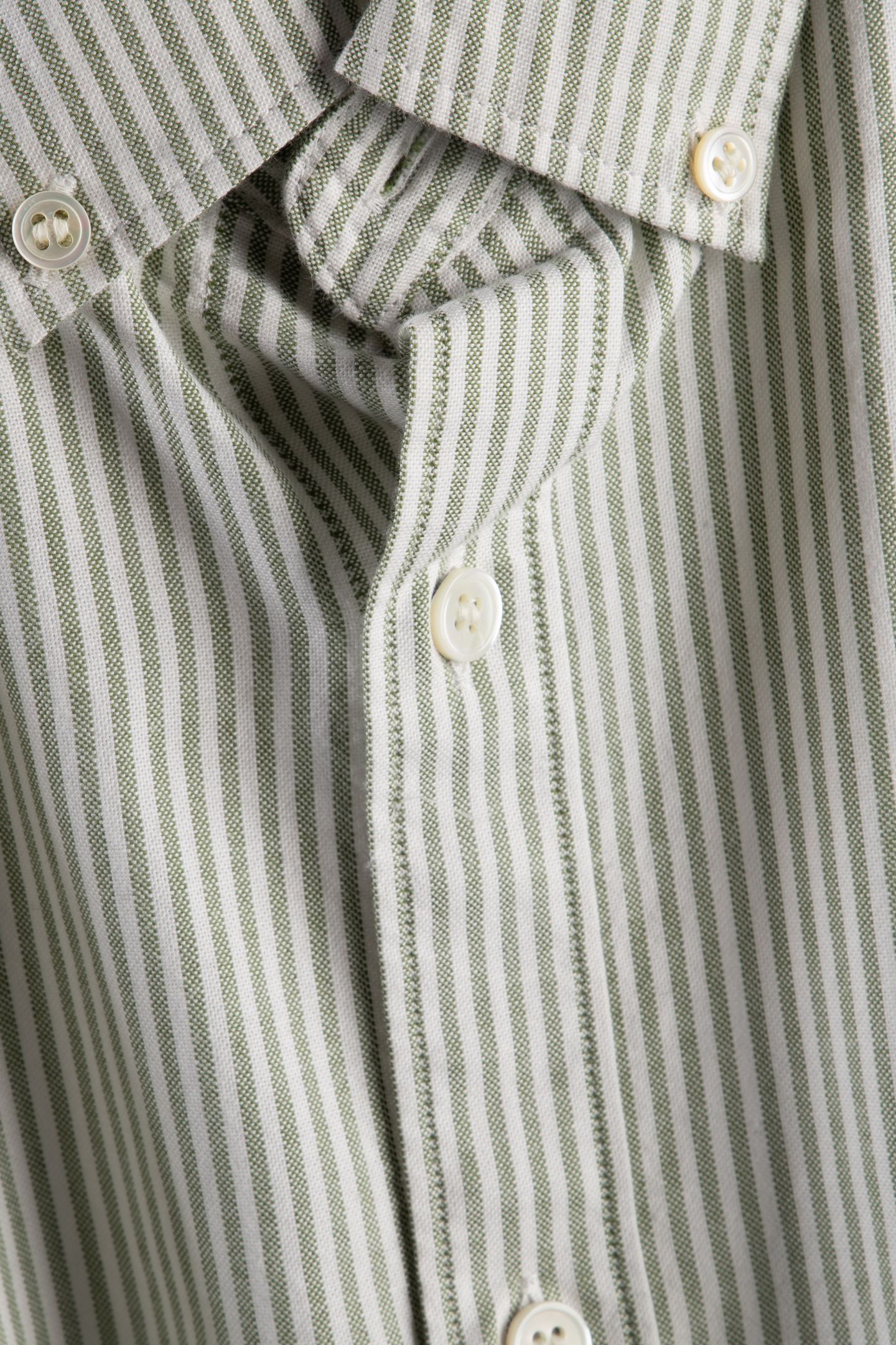 BARD COTTON OXFORD GREEN 4