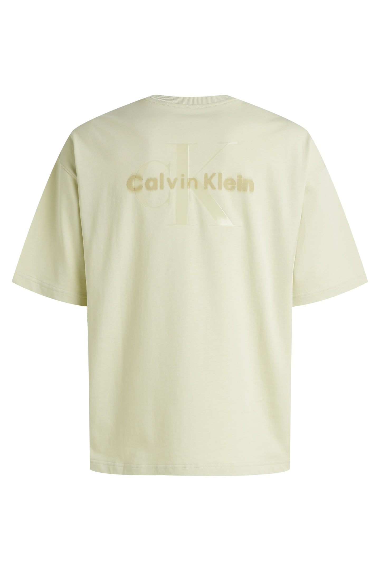 UNISEX SS T-SHIRT ALOE WASH 5