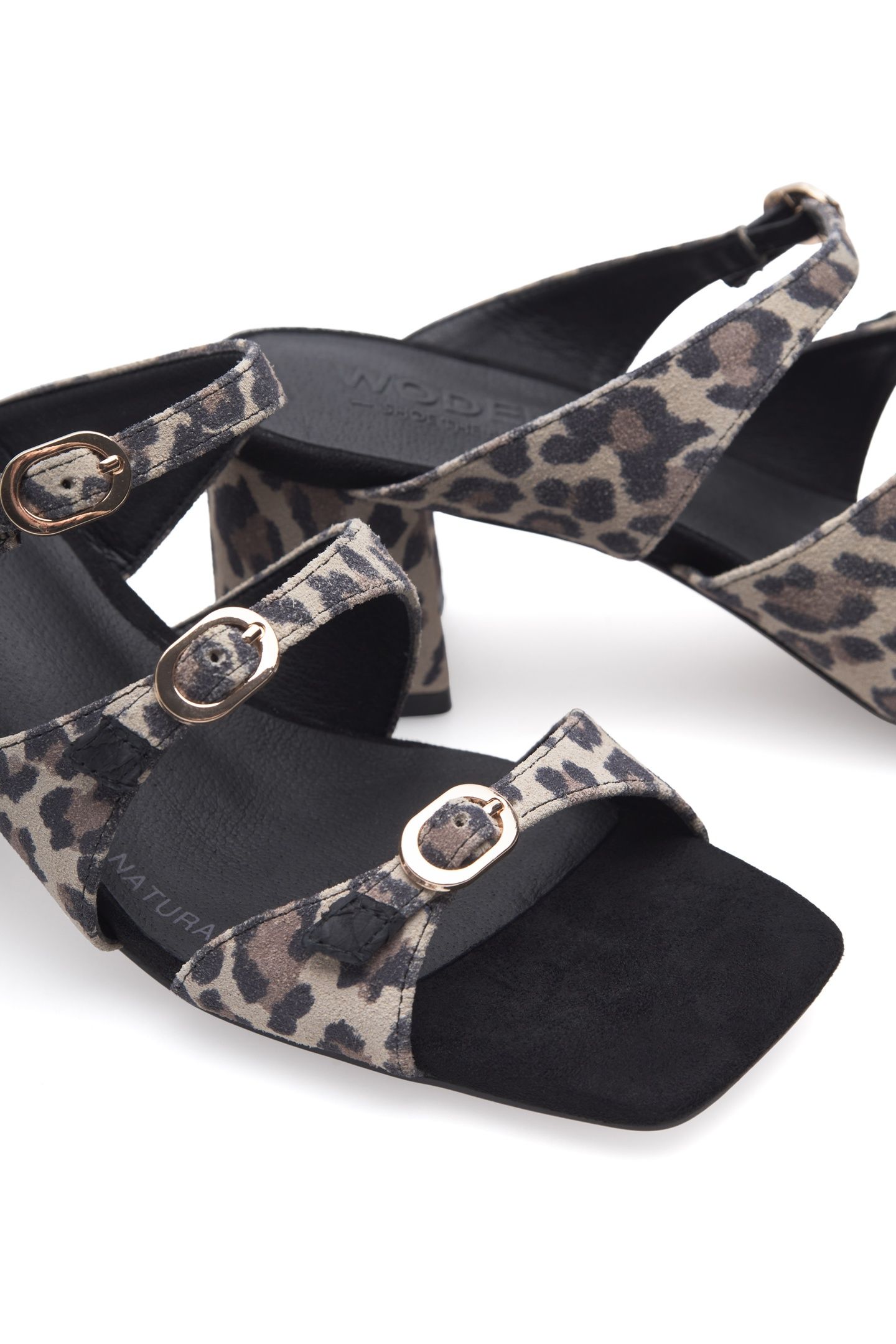 HANNA LEO LEOPARD 5