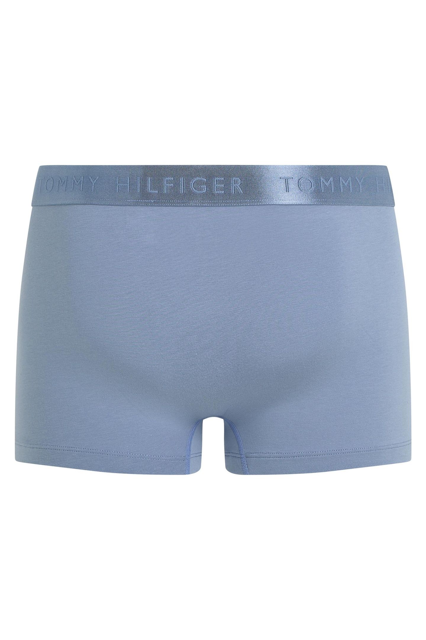 SINGLE TRUNK BRISK BLUE 2