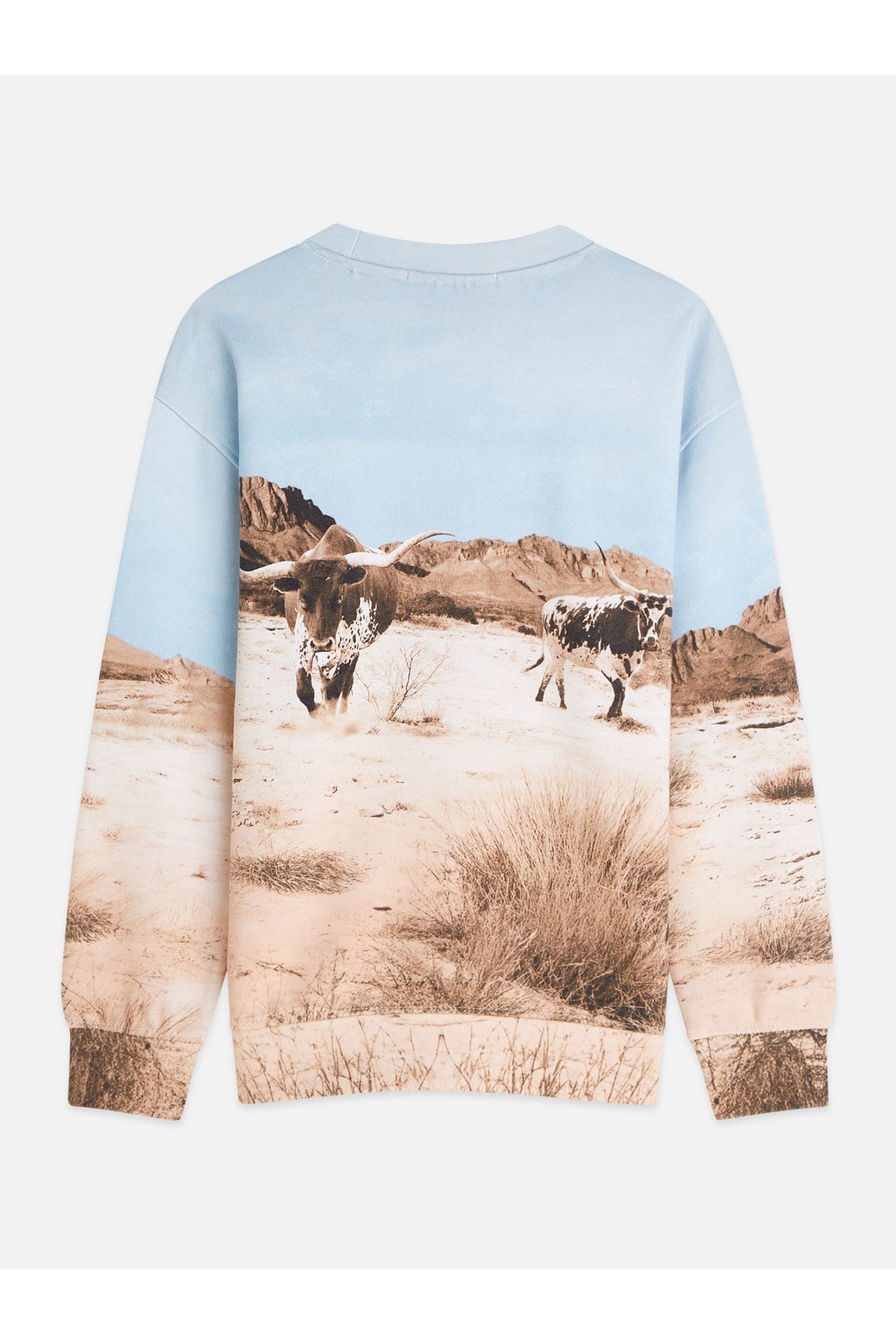 BOYS PHOTOPRINT ARTWORK RELAXEDFIT SWEATSHIRT MEDIUM BEIGE 2