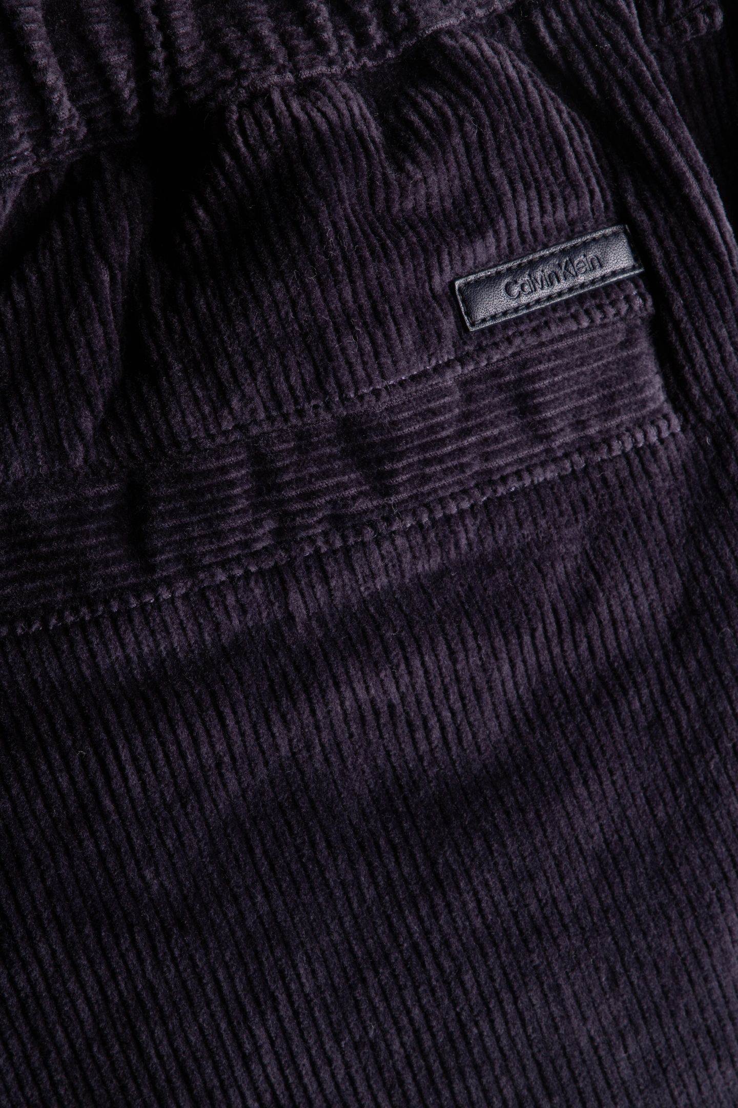 CORDUROY PLEATED PANTS BRISTOL GEMS 4