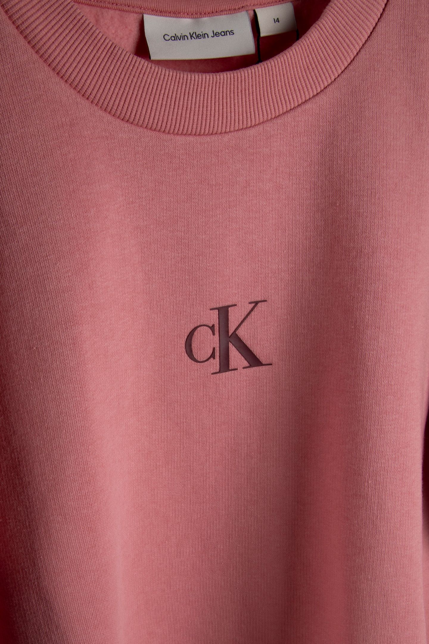 GIRLS LOGO CN FLEECE SWEATSHIRT BRANDIED APRICOT 5