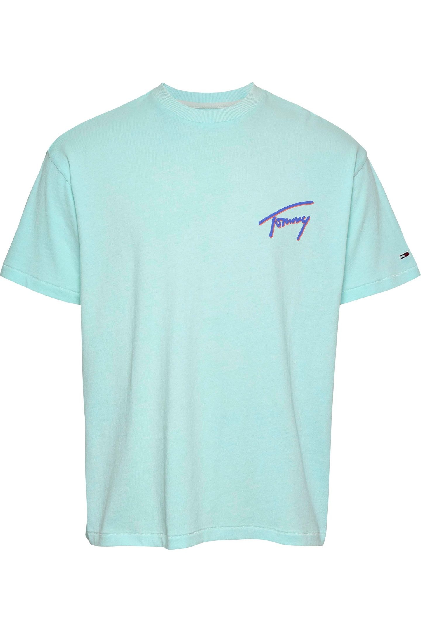 TJM RELAXED FADED GRAPHIC SPRING MINT 1