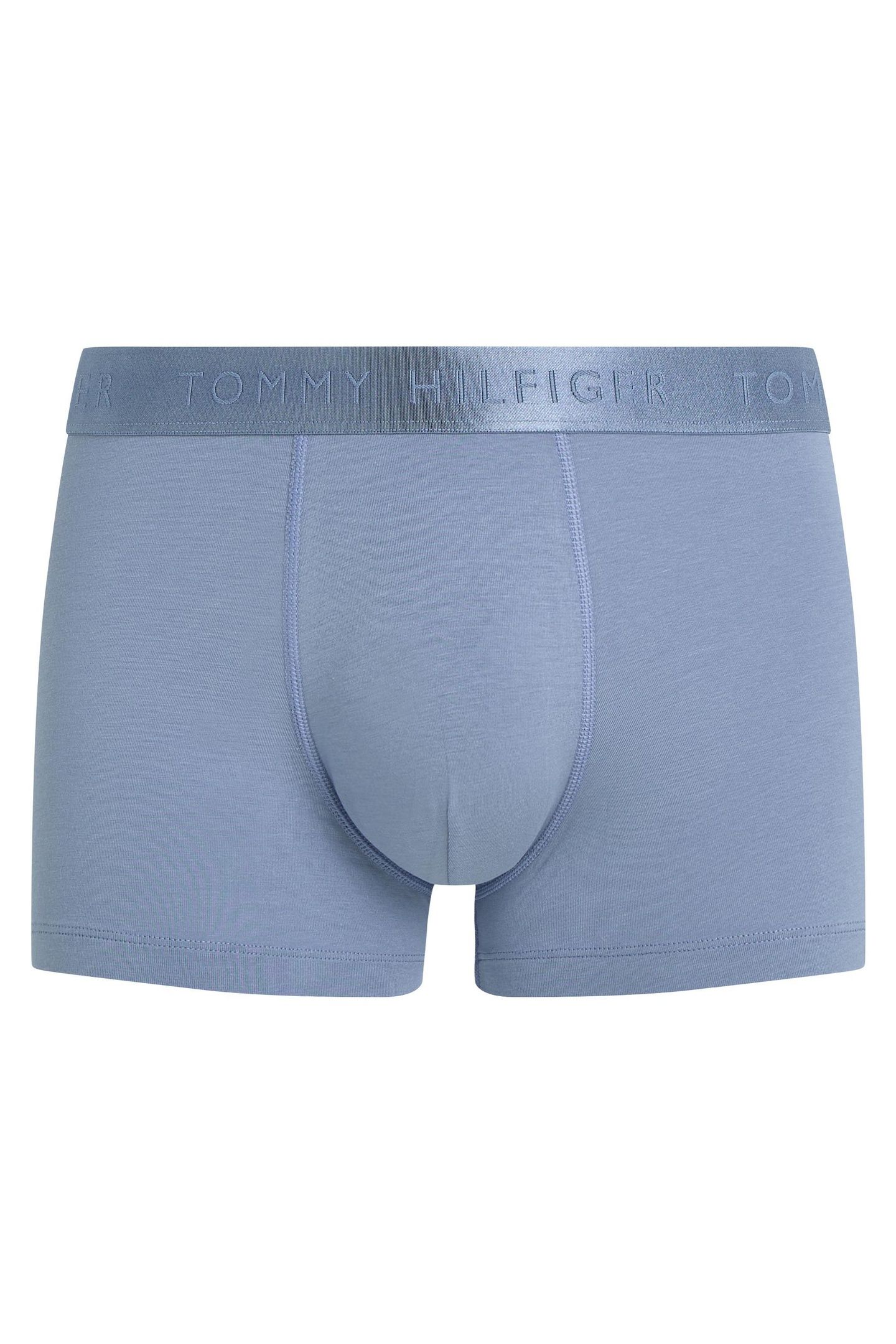 SINGLE TRUNK BRISK BLUE 1