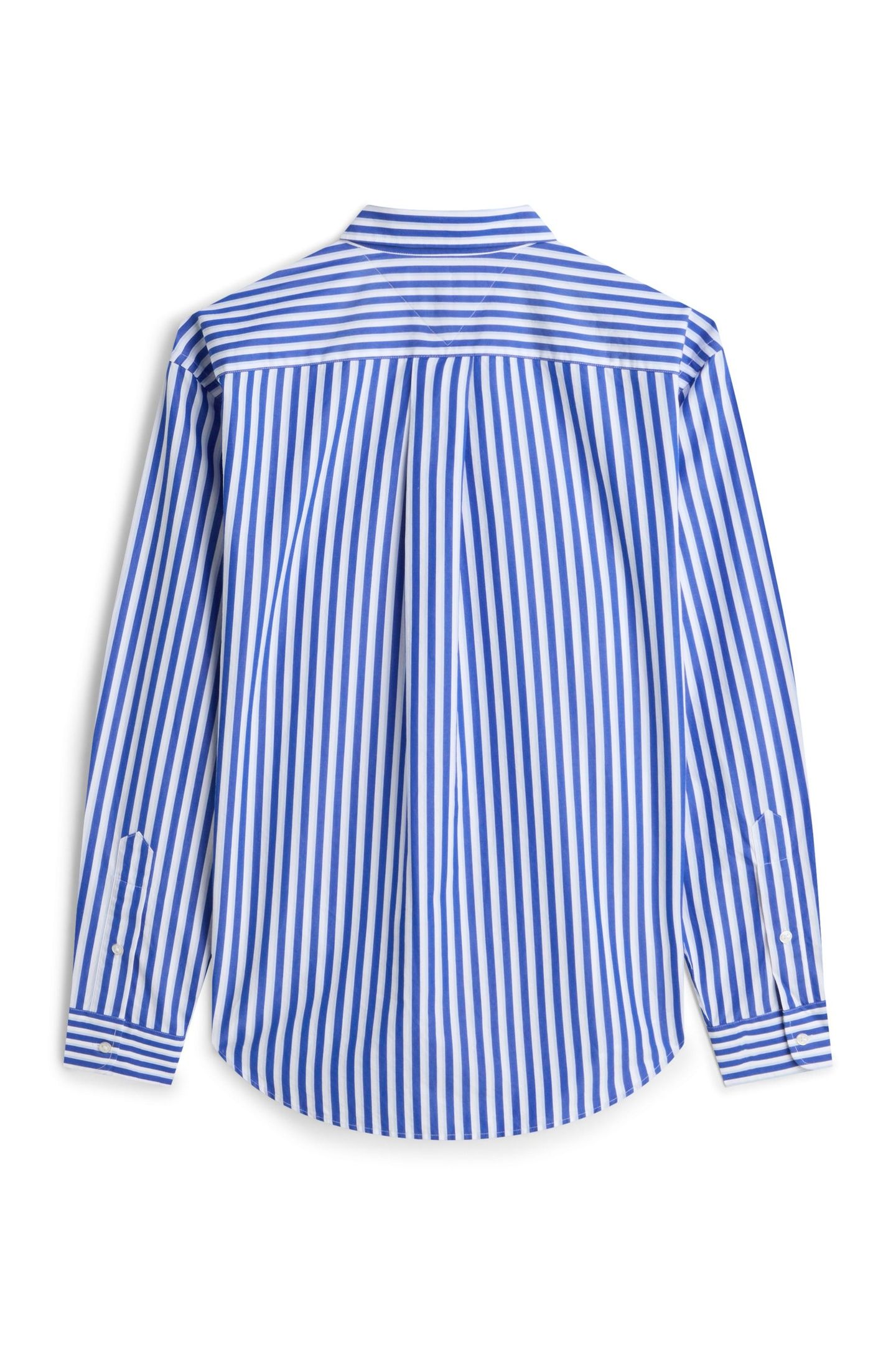 BEST LEVEL CLASS REGAL BLUE/STRIPE 2