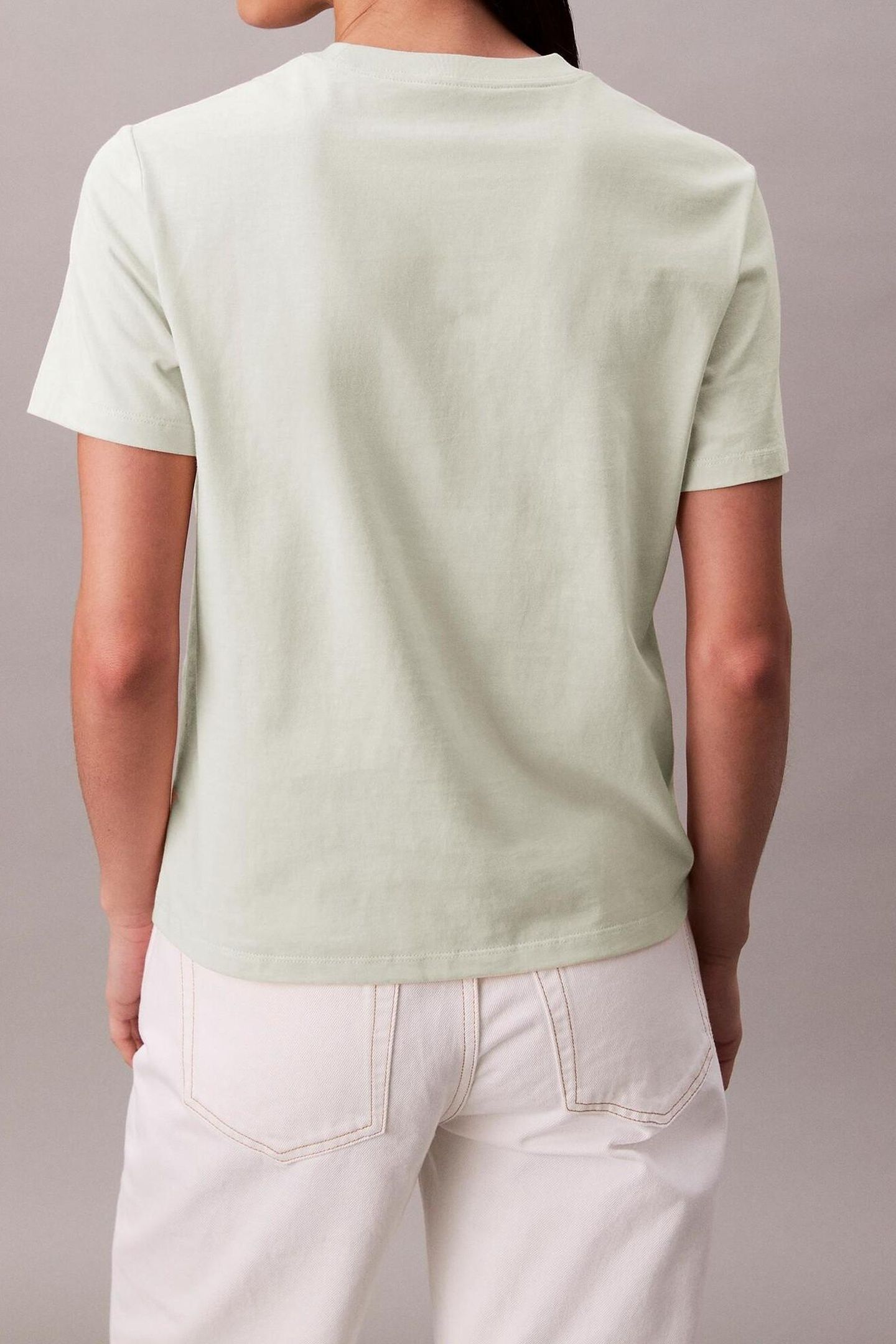 HERO SS CLASSIC MONO TEE ALOE WASH 2