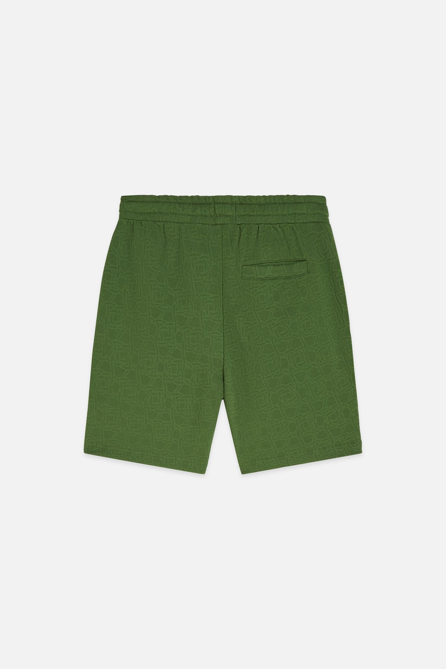 JACQUARD REGULARFIT SHORTS DARK GREEN 2