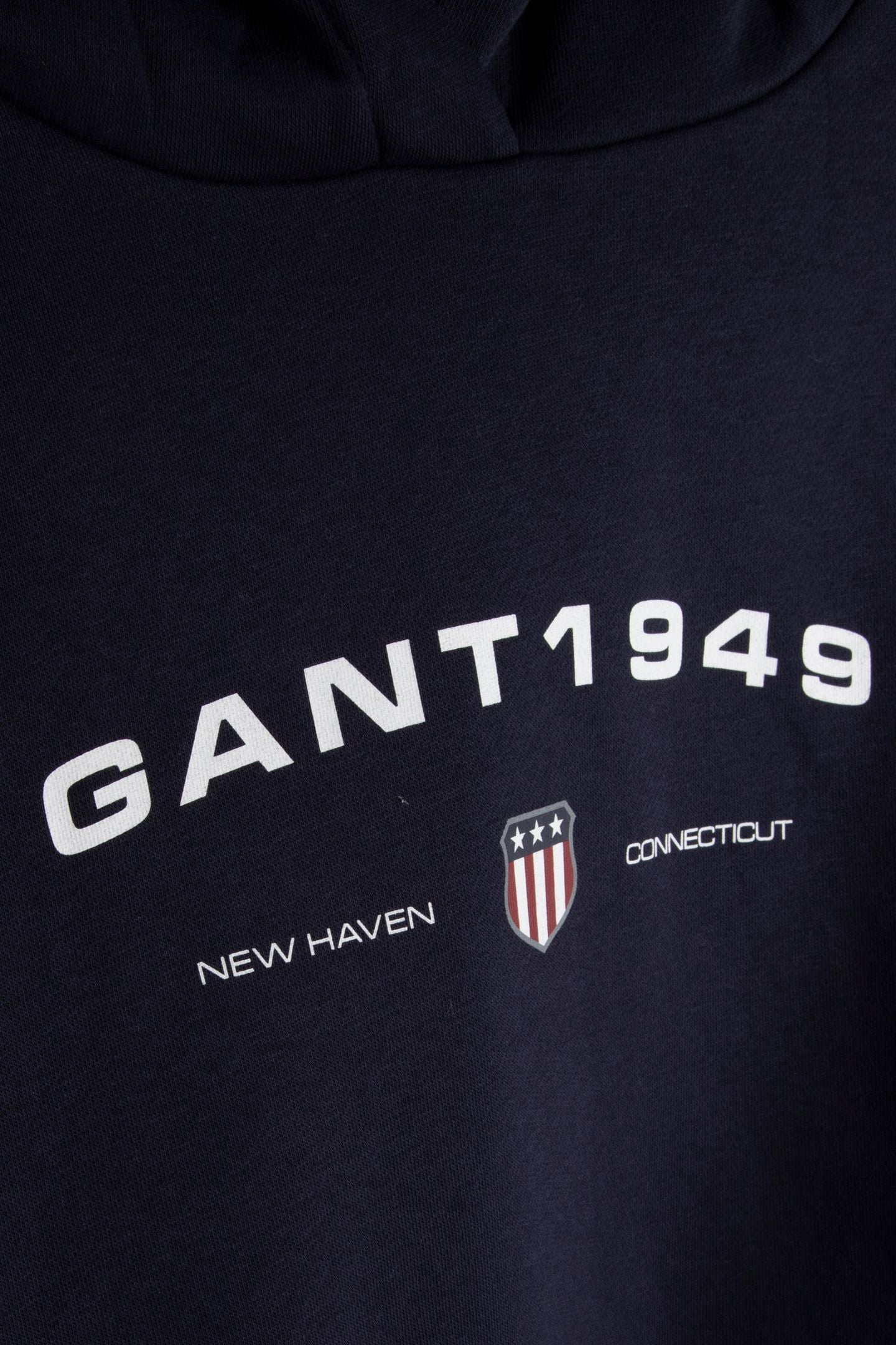 REG GRAPHIC HOODIE EVENING BLUE 4