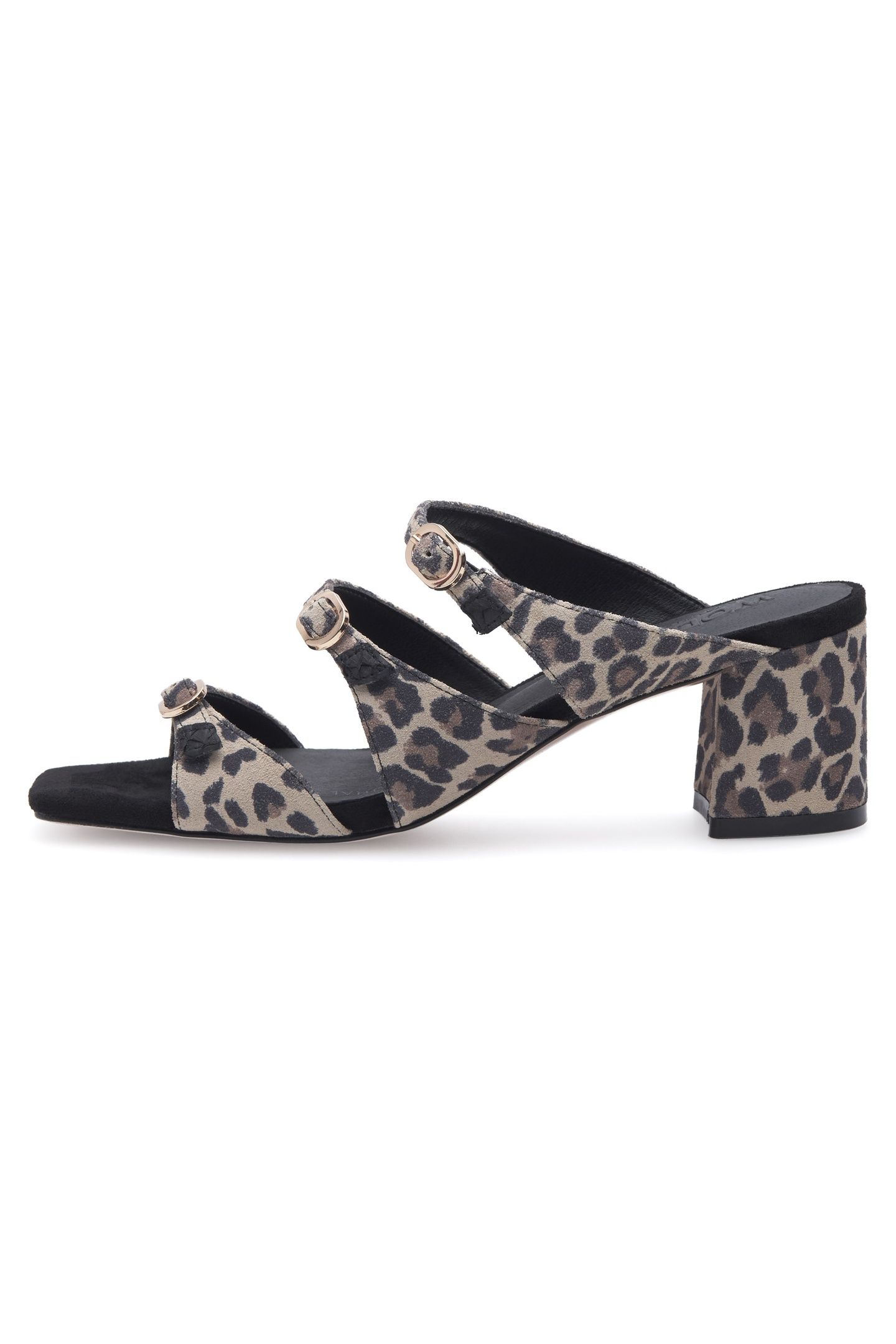 HANNA LEO LEOPARD 1