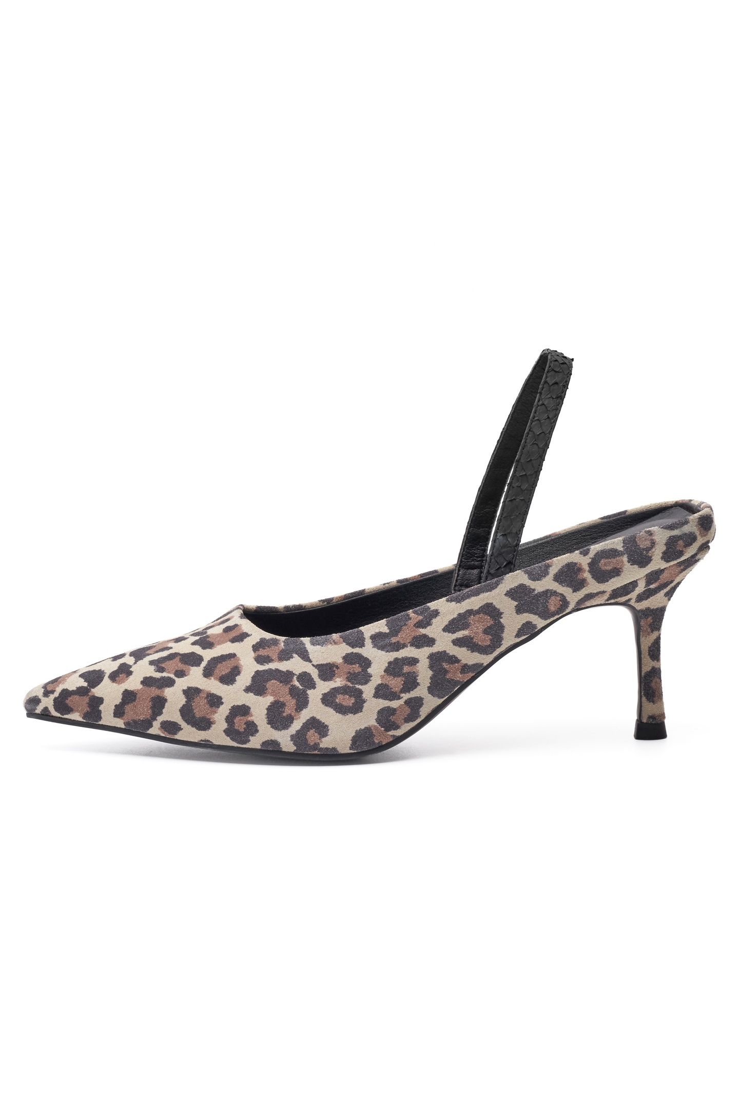 SOPHIE LEO LEOPARD 1