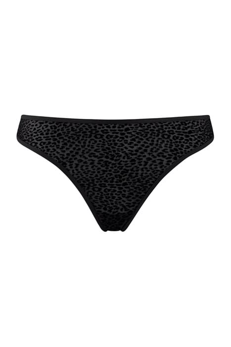 FELINE JAZZ BLACK BRIEFS 1