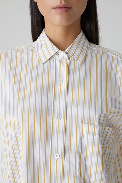 BASIC SHIRT SUNFLOWER 4