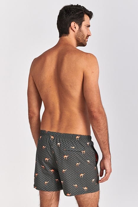 MEN SWIM SHORT DESERT CAMEL 4-WAY STRETCH CILANTRO GREEN 3