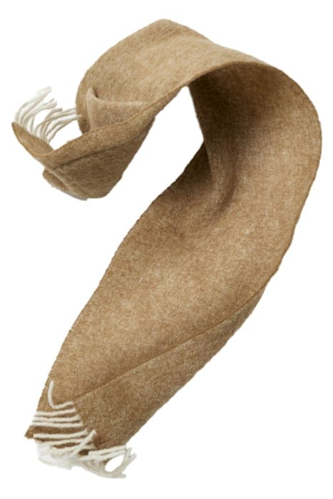 WILLIAN CAMEL 3