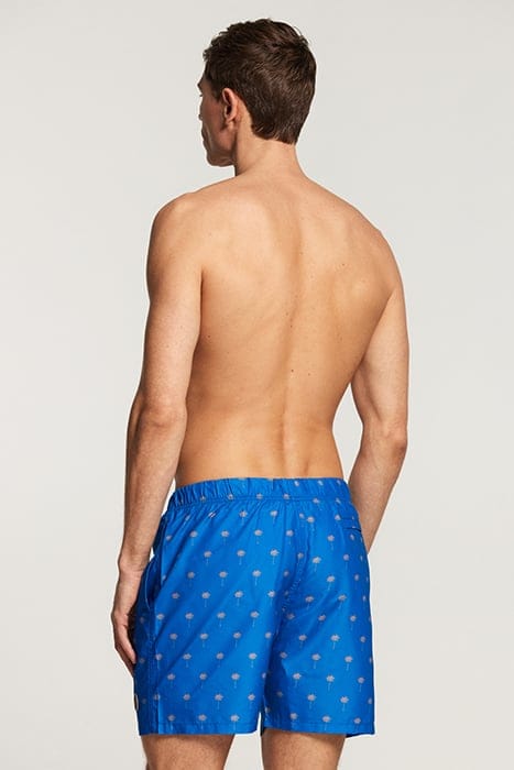 SWIMSHORT SCRATCHED SHIWI PALM SKYDIVE BLUE SKYDIVE BLUE 3