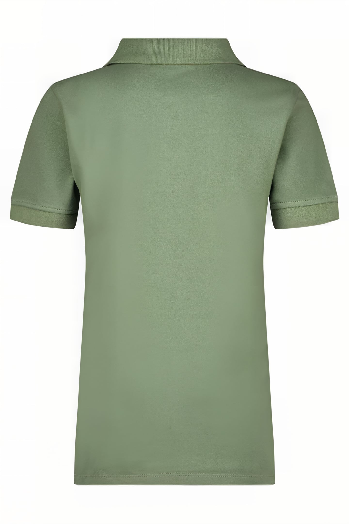 KASIC NEW OLIVE 2