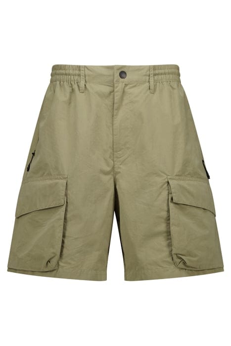 NYLES CACTUS 1