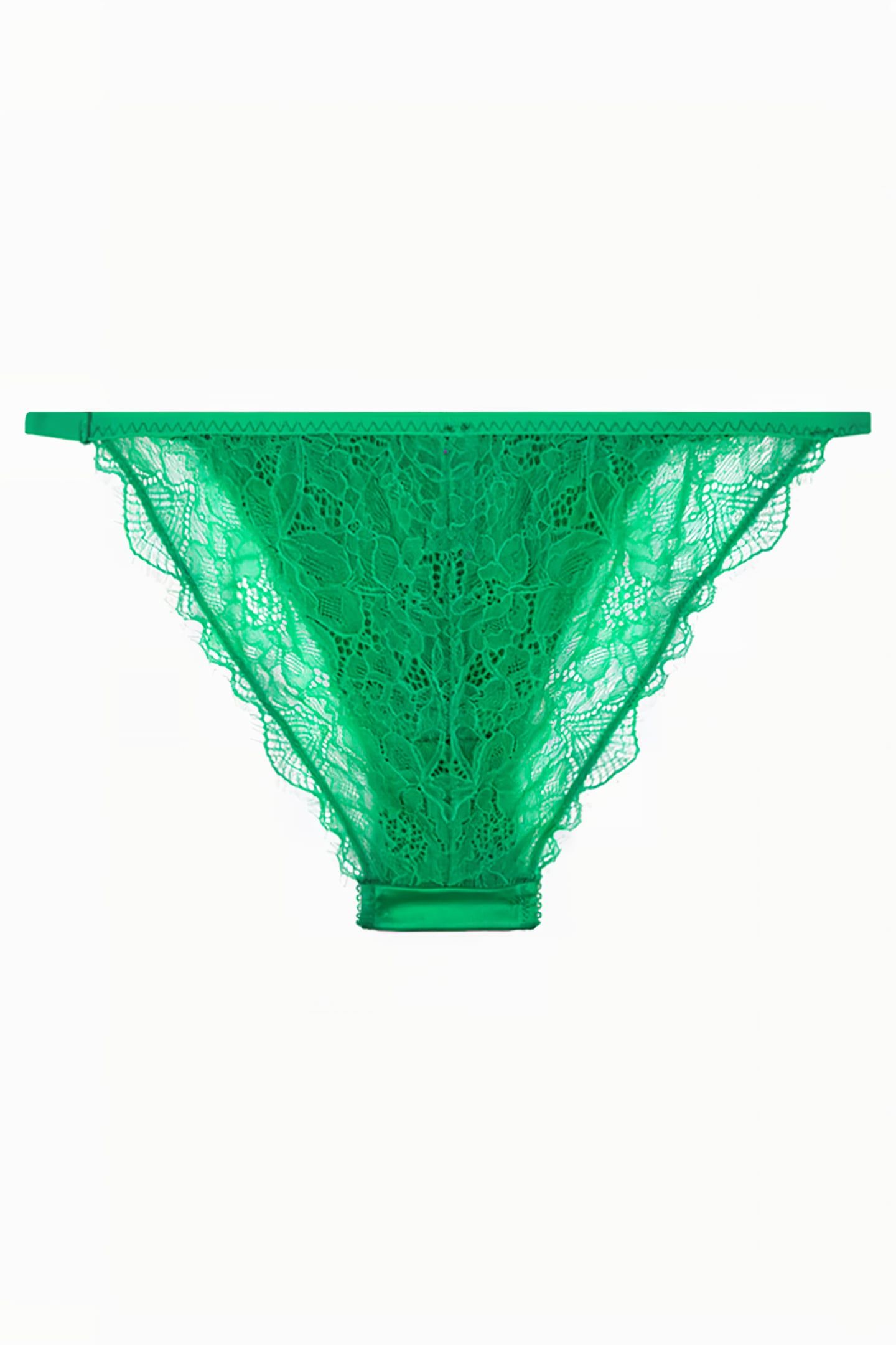 WILD ROSE BRIEF GREEN 2