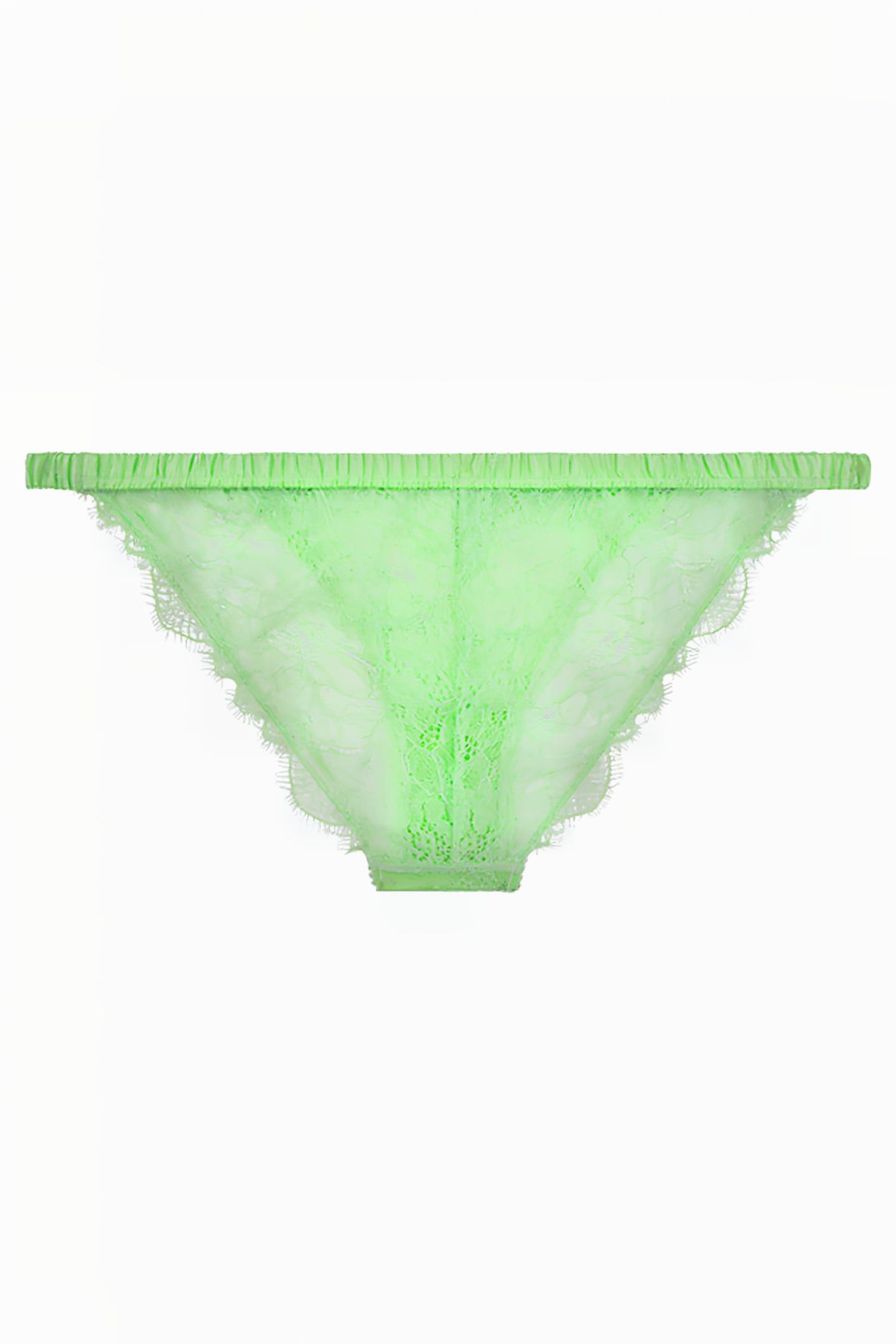WILD ROSE BRIEF LIME 2