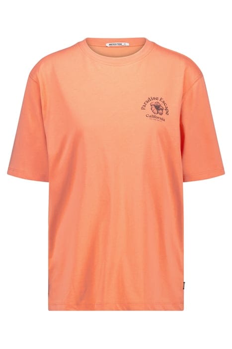 ELBA CORAL 1